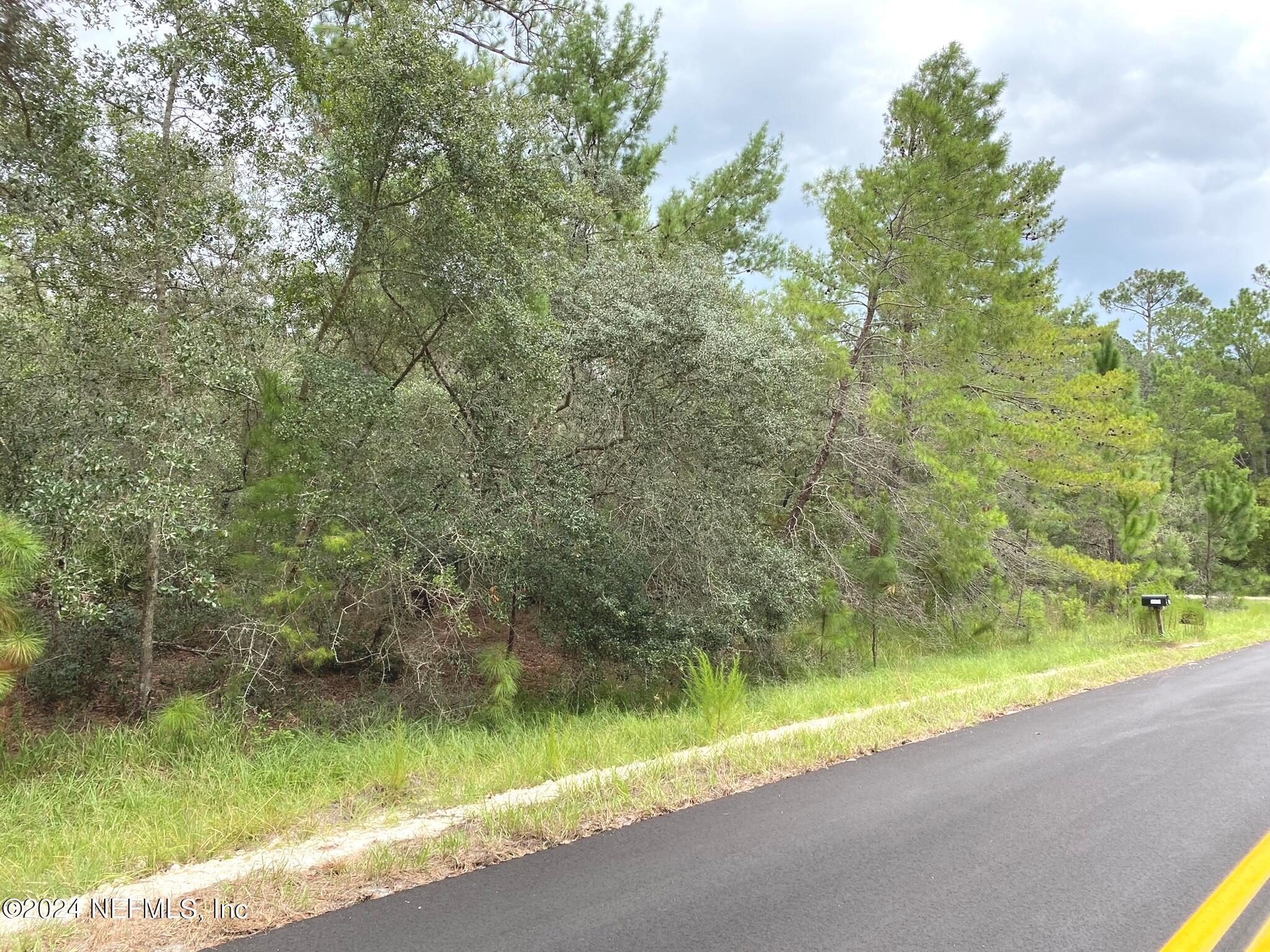 118 Spanish Trail Georgetown, FL 32139 - Photo 3 of 6 a view of a yard with a fountain
