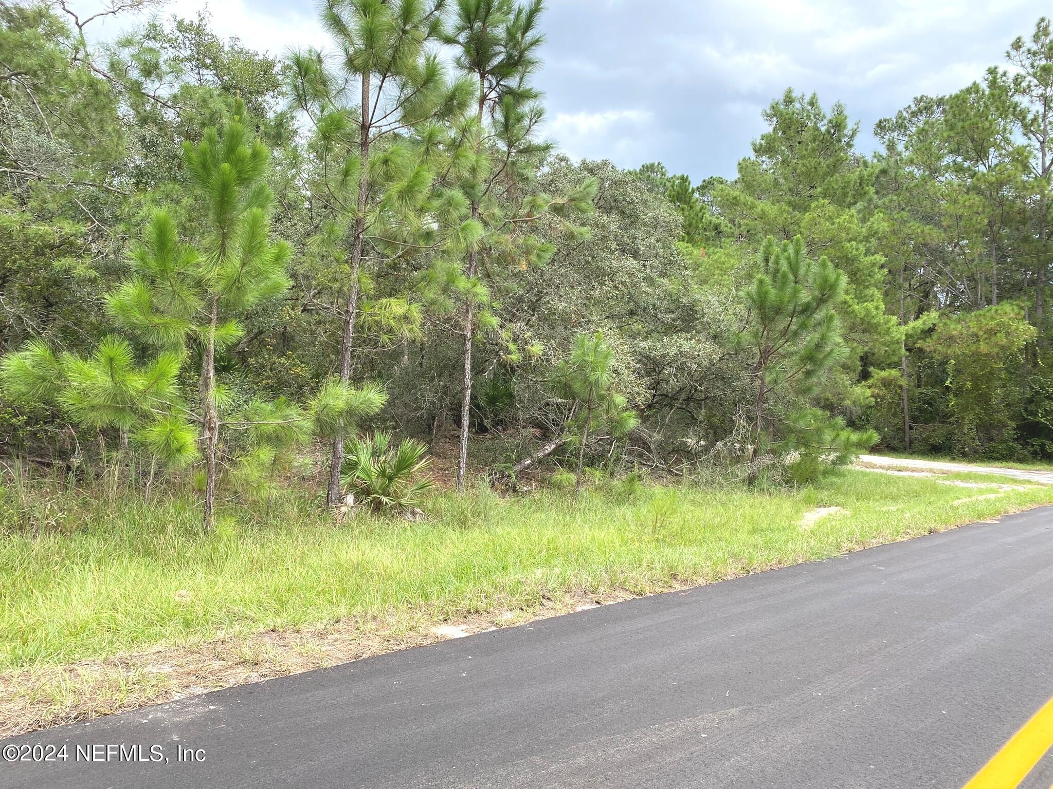 118 Spanish Trail Georgetown, FL 32139 - Photo 5 of 6 a view of outdoor space and yard