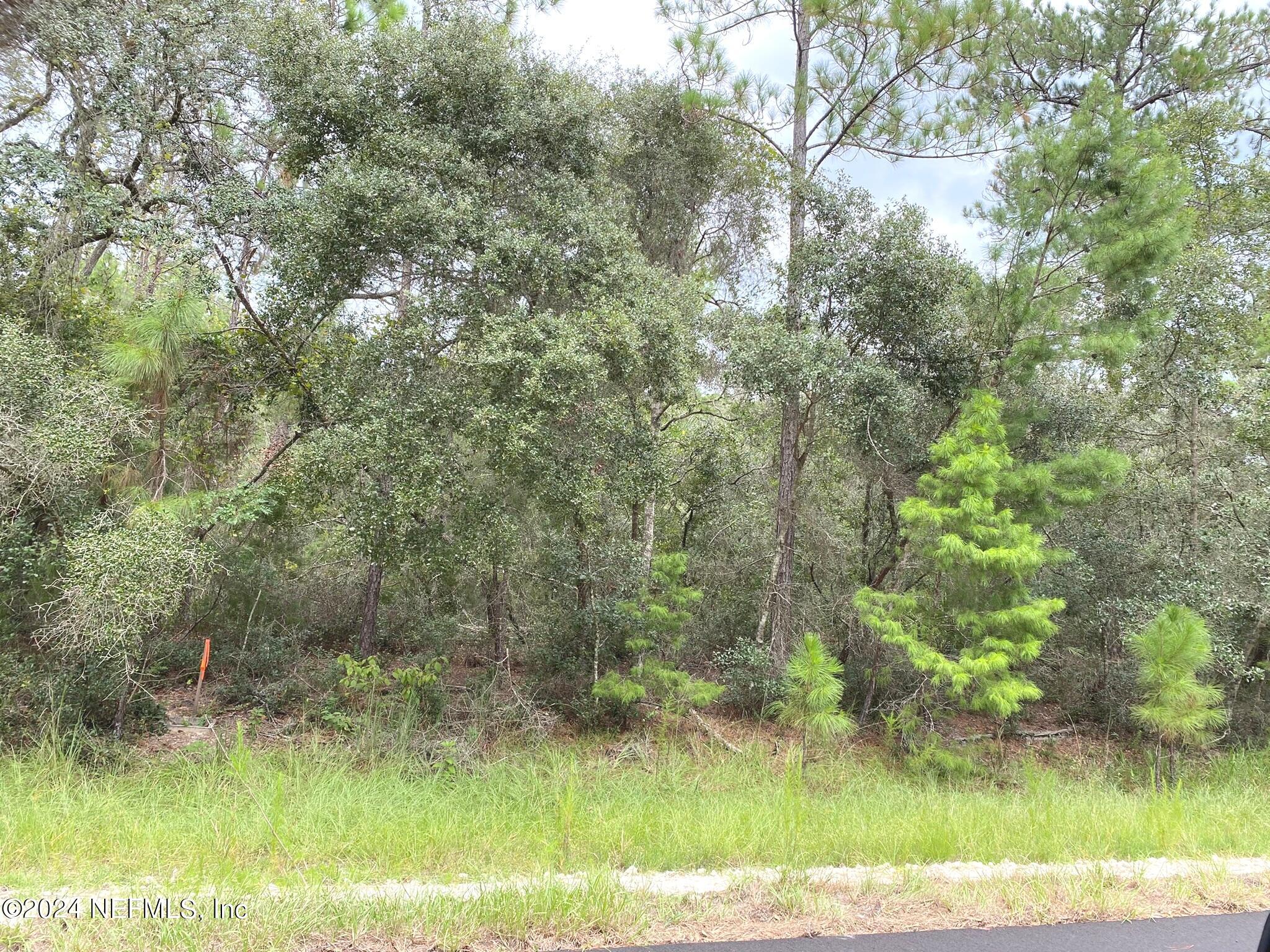 118 Spanish Trail Georgetown, FL 32139 - Photo 6 of 6