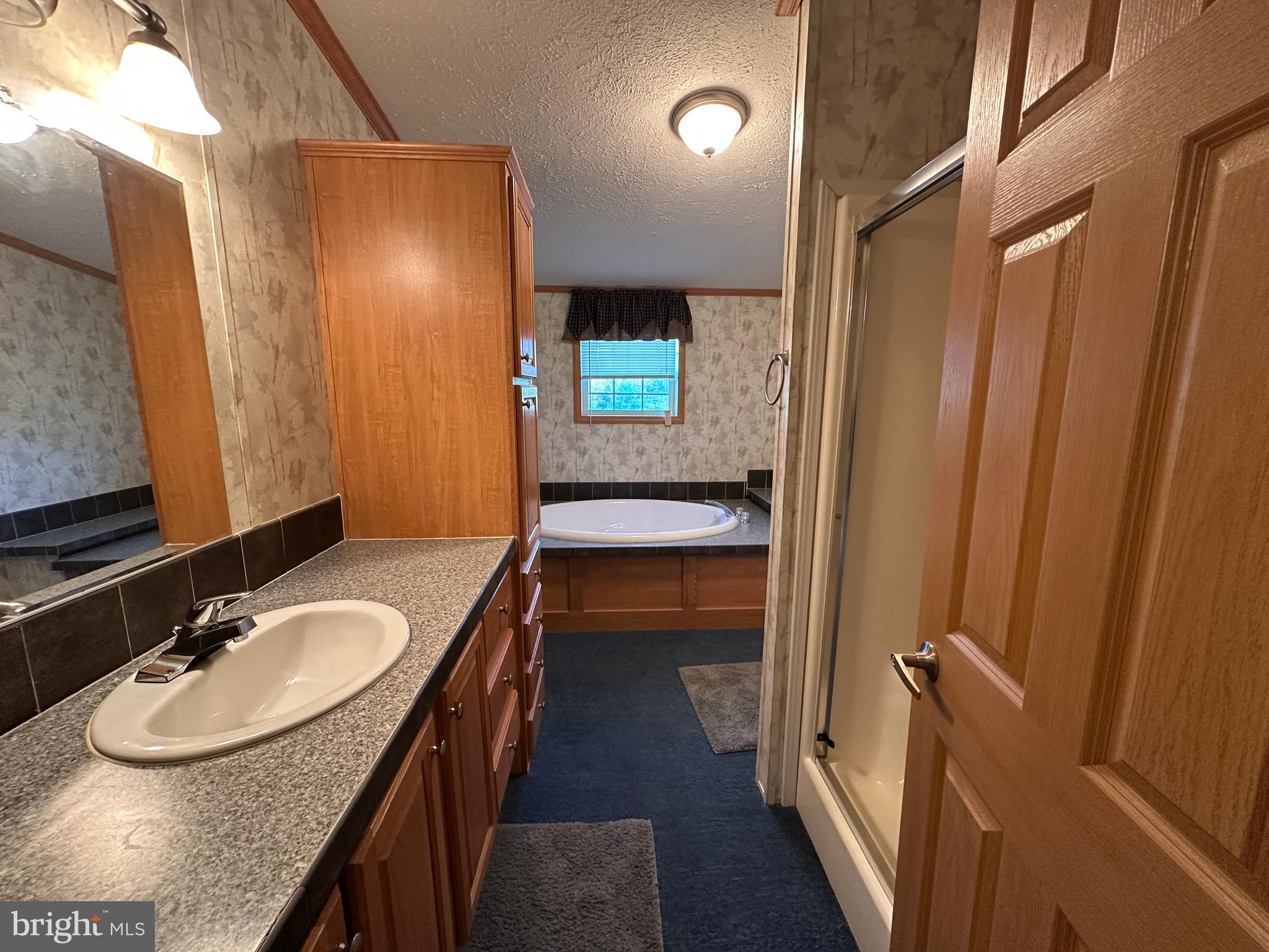 4391 Cito Road McConnellsburg, PA 17233 - Photo 53 of 67 a bathroom with a sink and mirror
