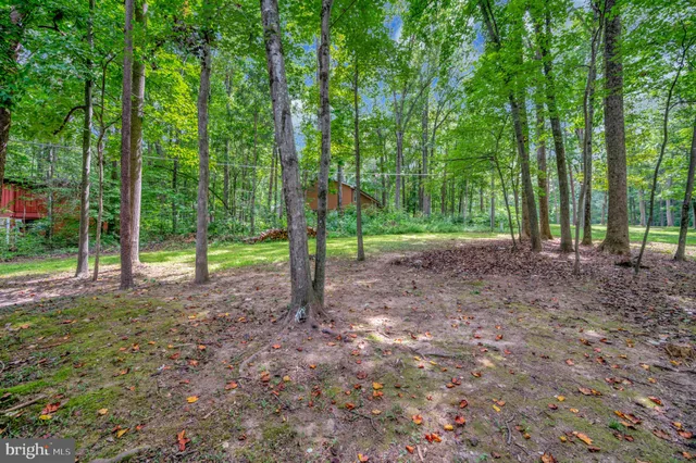 a view of outdoor space and trees