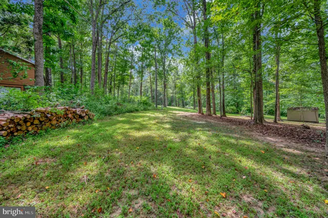 a view of backyard with green space