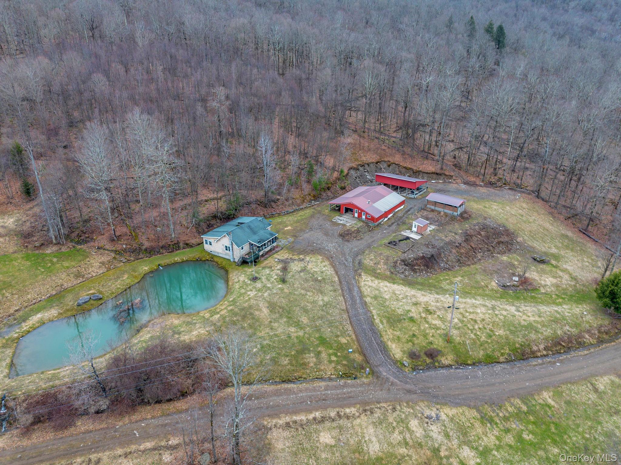 Overhead of Cabin Barn and pond