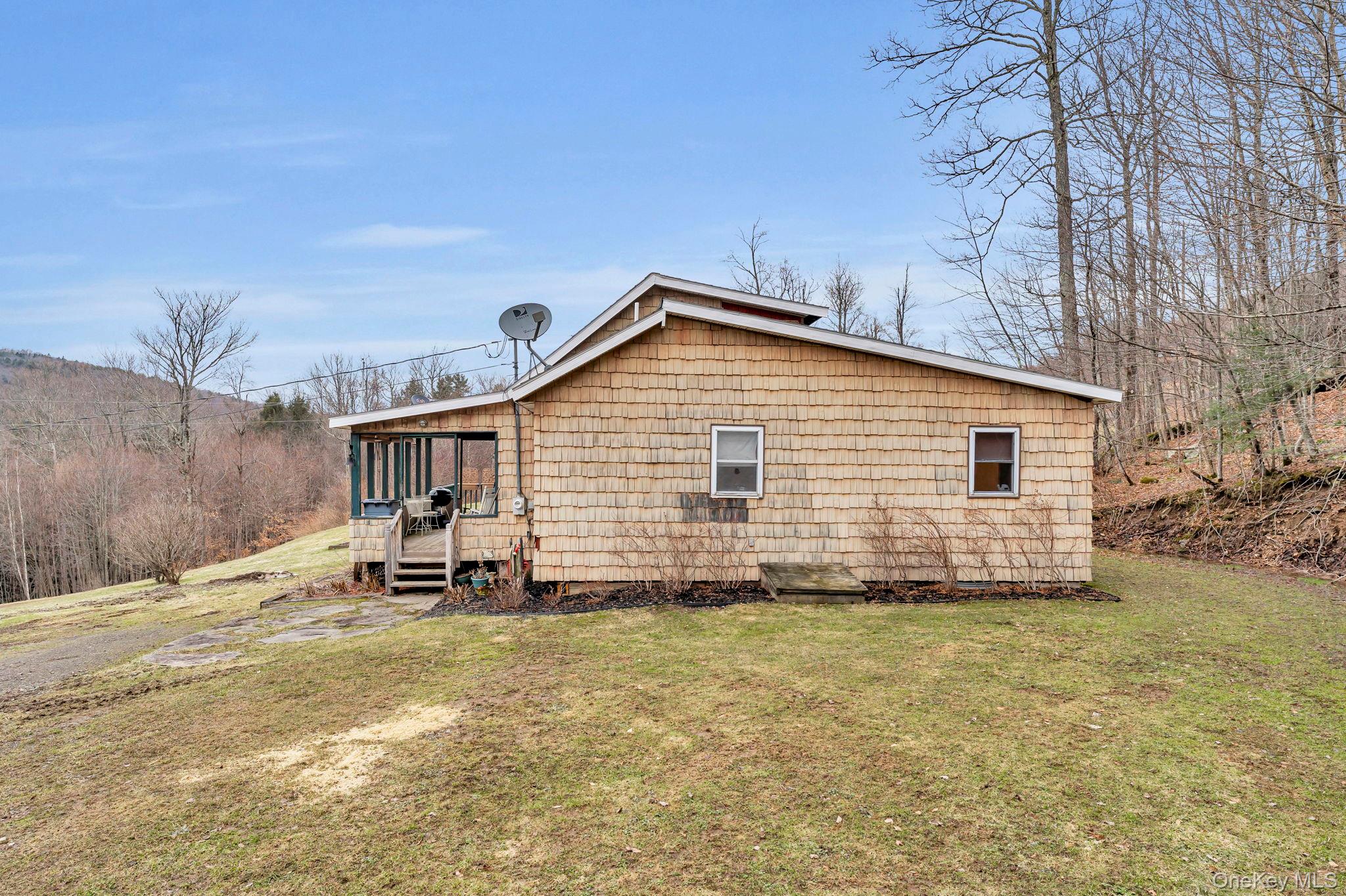 540 Lewis Road Walton, NY 13856 - Photo 11 of 40 Side view of Cabin
