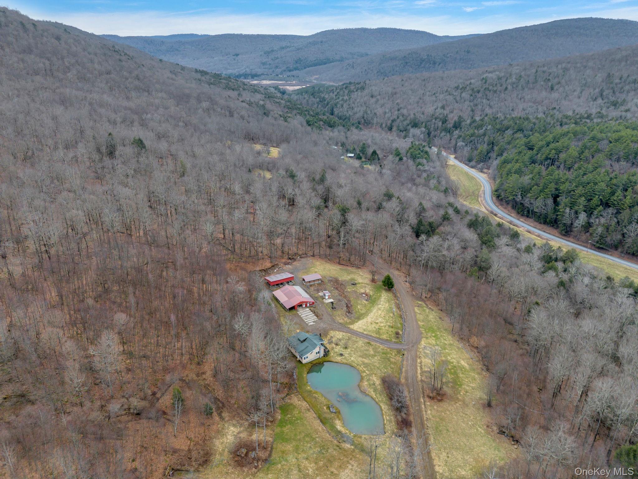 540 Lewis Road Walton, NY 13856 - Photo 2 of 40 Overhead of property to Cannonville Reservoir