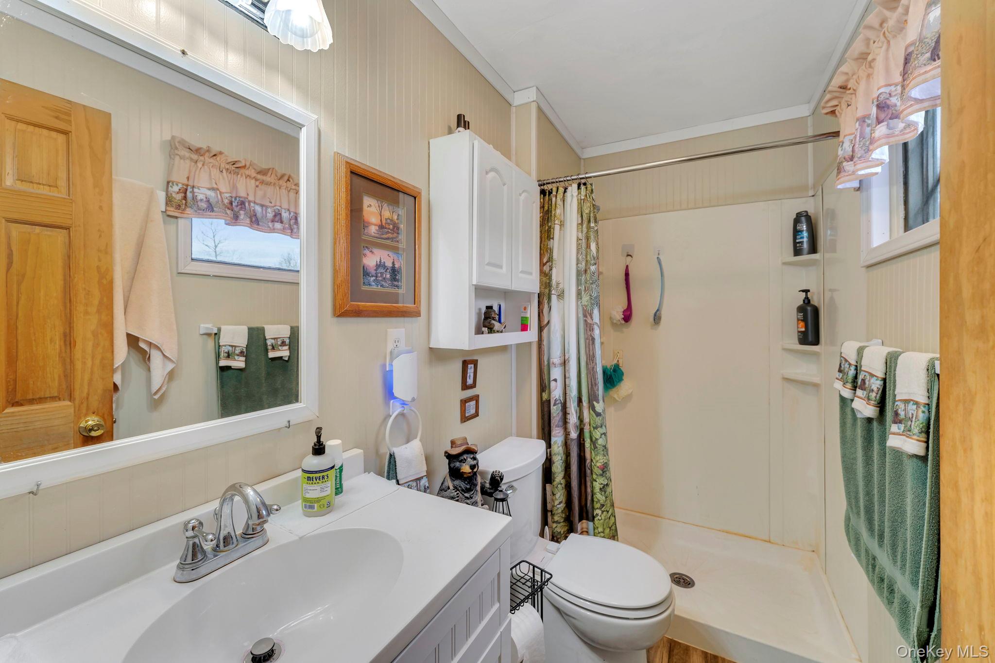 540 Lewis Road Walton, NY 13856 - Photo 29 of 40 Bathroom 2