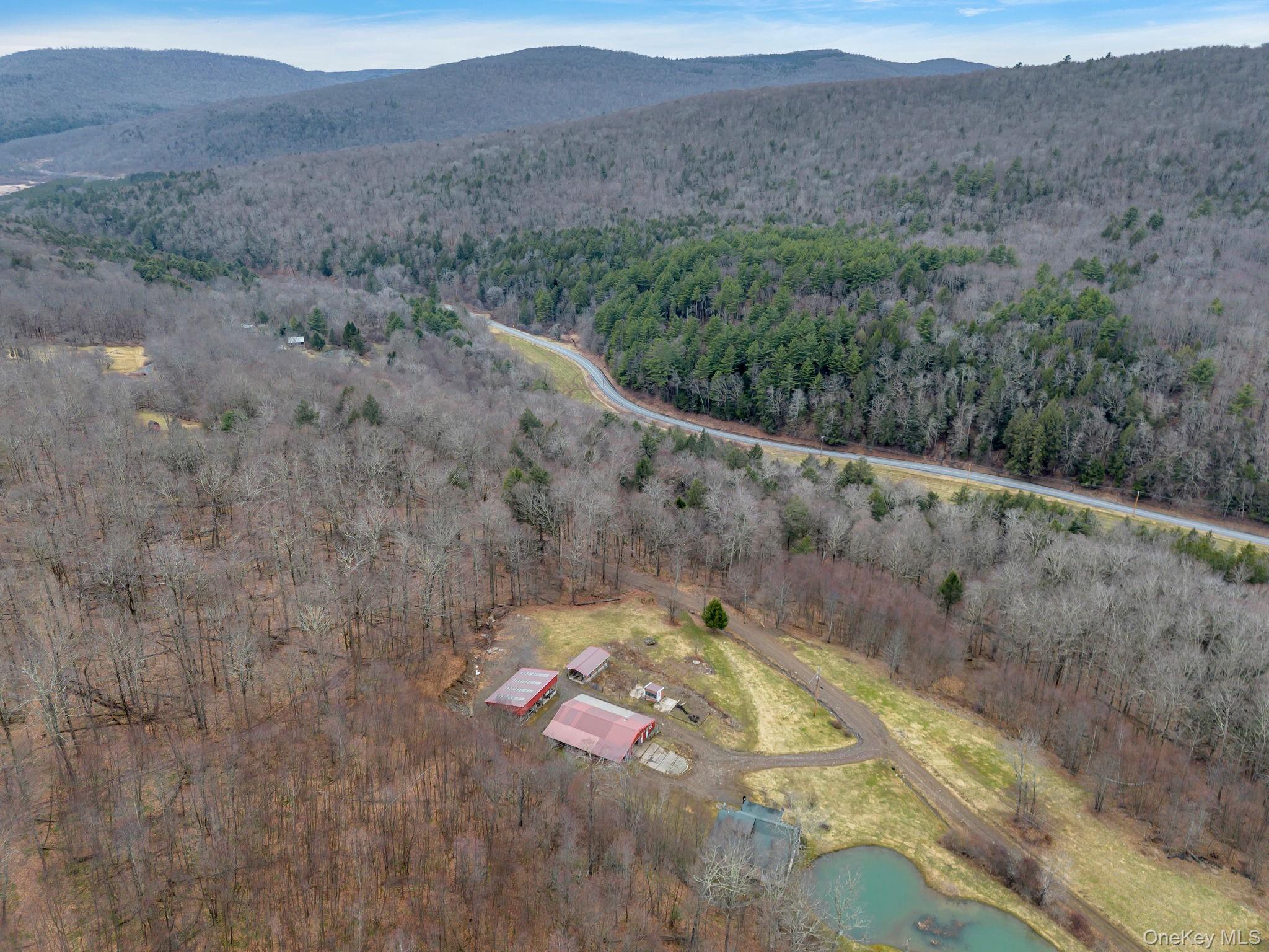 540 Lewis Road Walton, NY 13856 - Photo 3 of 40 Overhead of property with mountain views