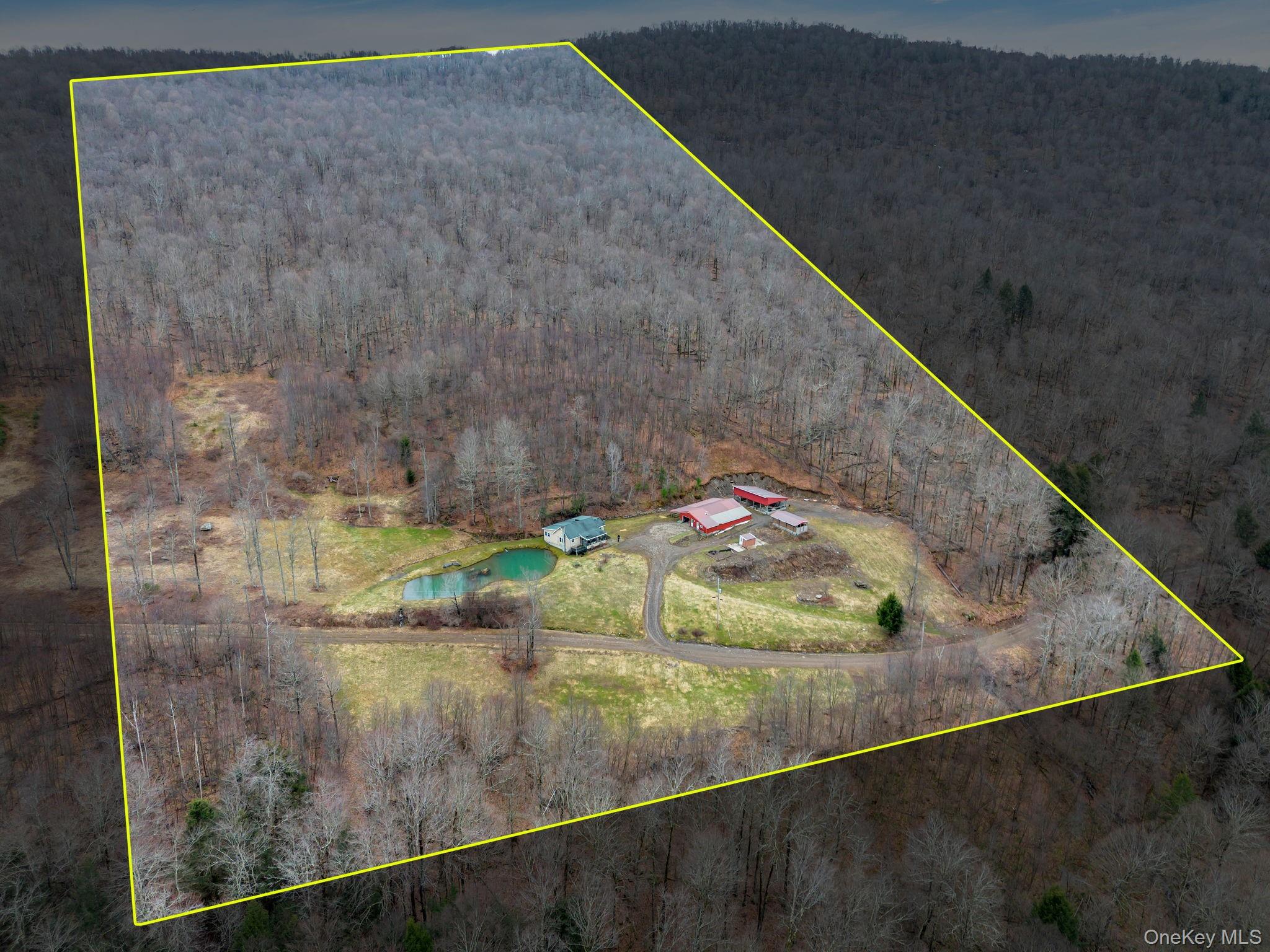 540 Lewis Road Walton, NY 13856 - Photo 5 of 40 Overview of 30 acres with location of cabin and proximity to road