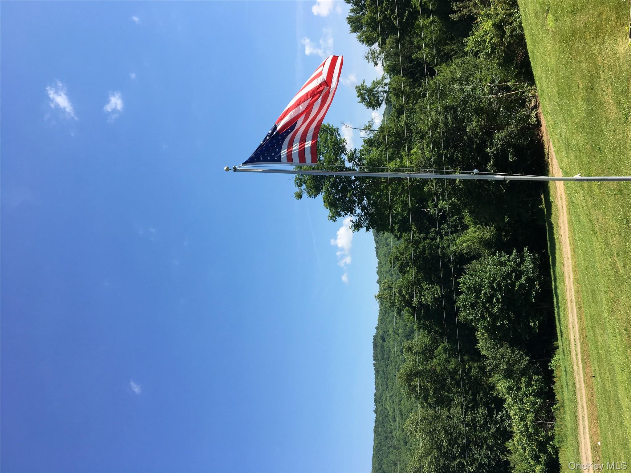540 Lewis Road Walton, NY 13856 - Photo 9 of 40 Flag against summer blue sky