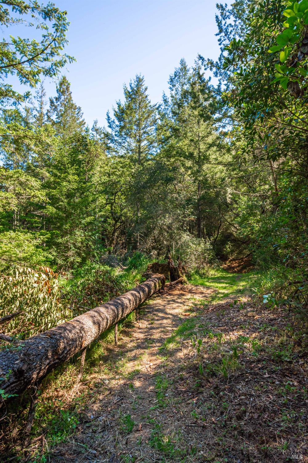 0 Dry Creek Road Napa, CA 94558 - Photo 66 of 98