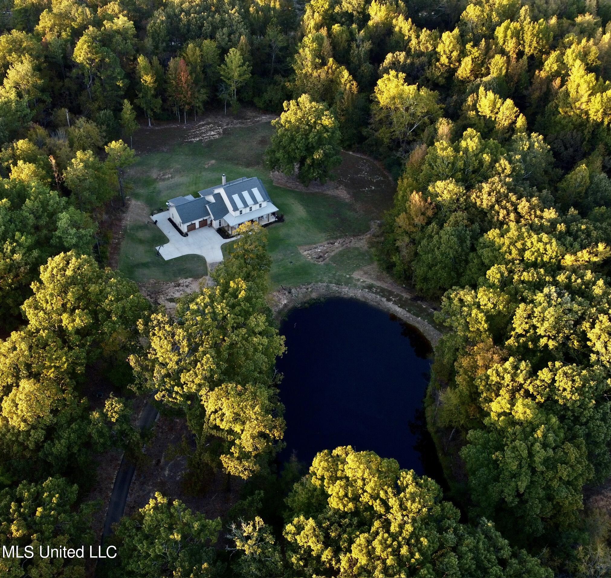 8380 Bethel Road Olive Branch, MS 38654 - Photo 33 of 36 Drone pond 2