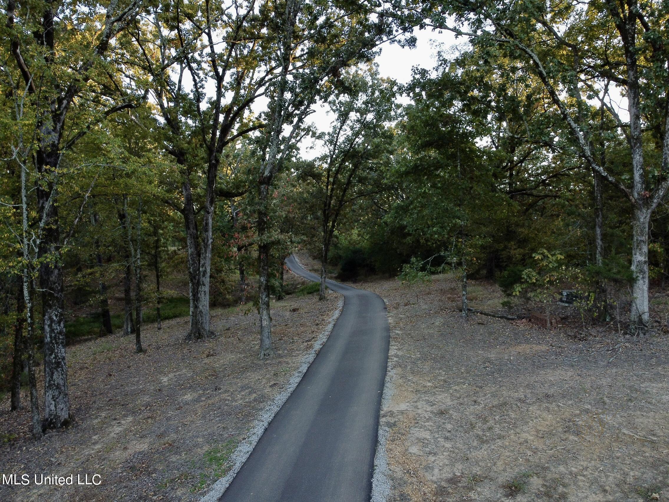 8380 Bethel Road Olive Branch, MS 38654 - Photo 34 of 36 Drone driveway
