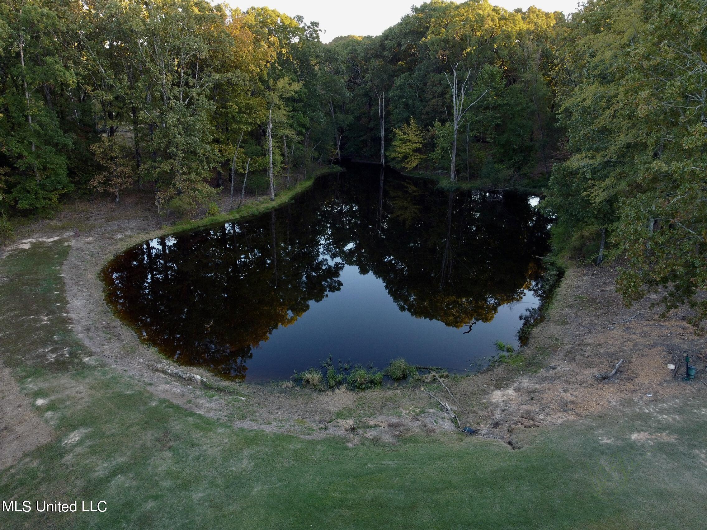 8380 Bethel Road Olive Branch, MS 38654 - Photo 36 of 36 Pond