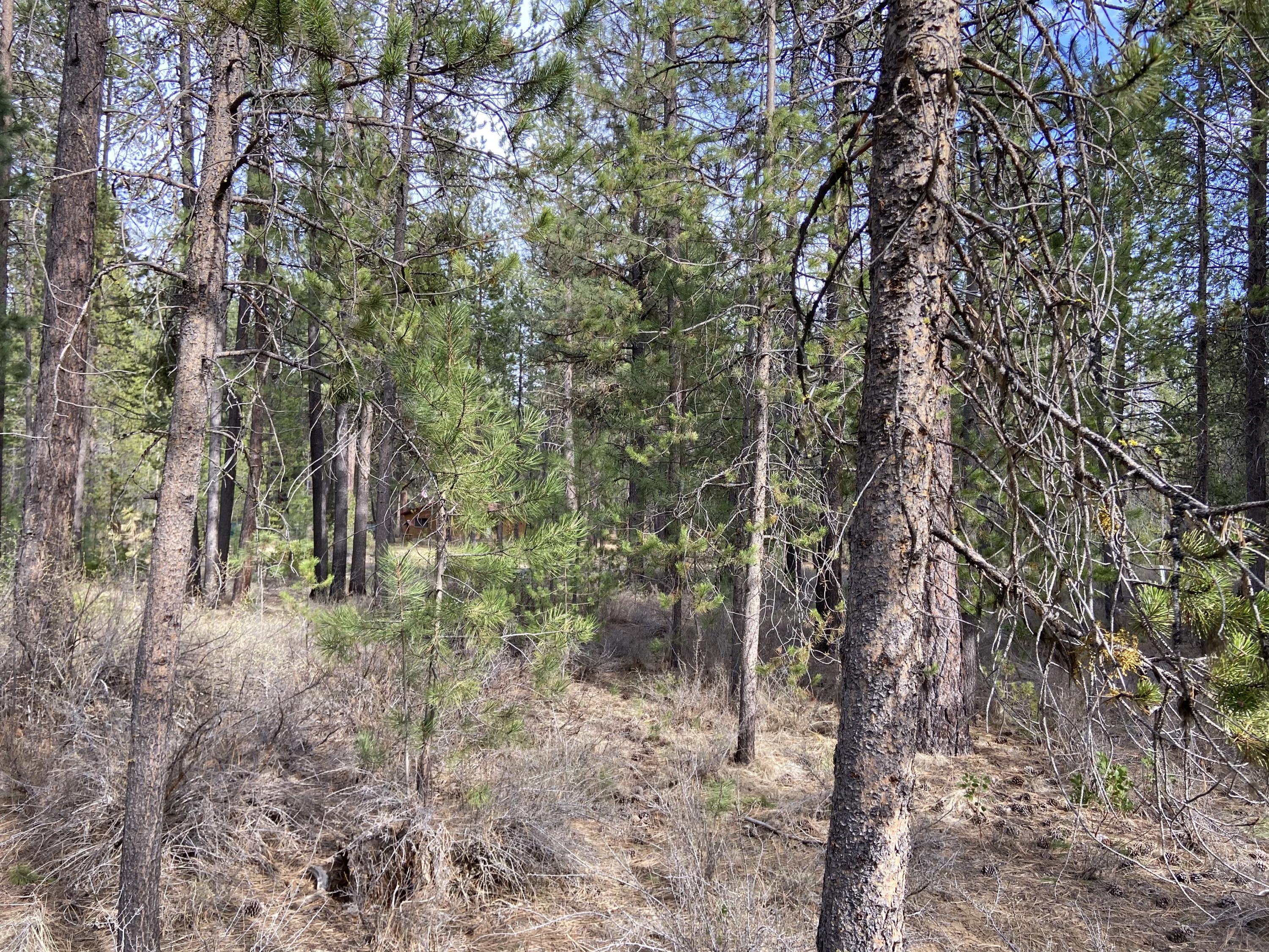 56890 Besson Road Bend, OR 97707 - Photo 7 of 12 8