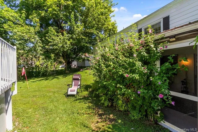 a small garden covered with tall trees