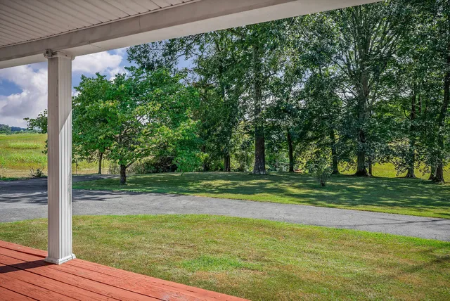 a view of a ground with a trees