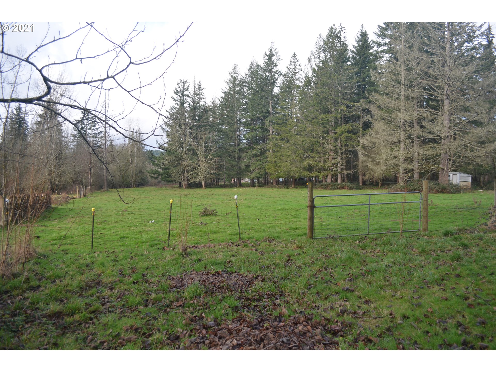 25032 Southeast Sunshine Valley Road Damascus, OR 97089 - Photo 2 of 26 Gallery Image 2