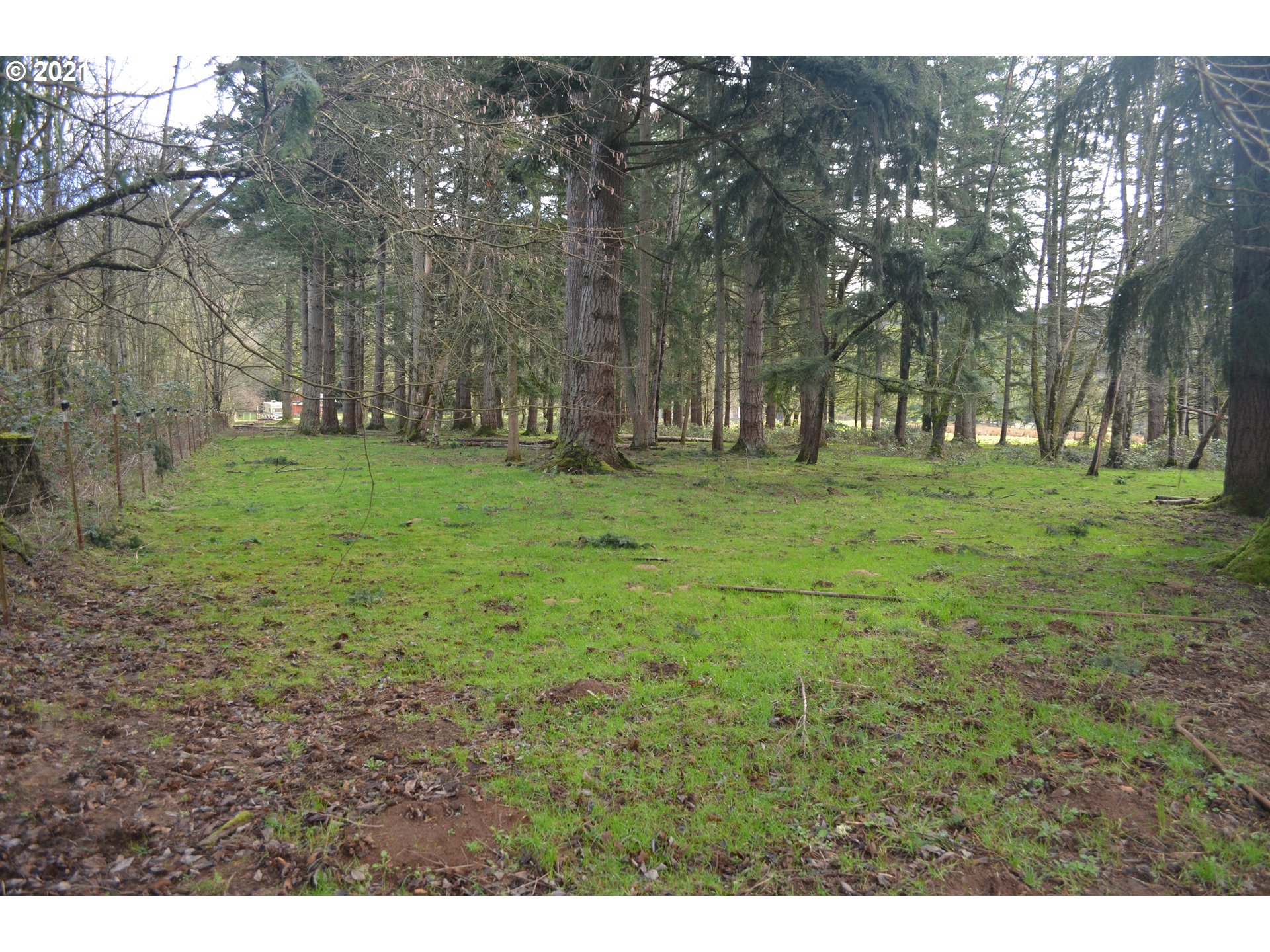 25032 Southeast Sunshine Valley Road Damascus, OR 97089 - Photo 11 of 26 Gallery Image 11