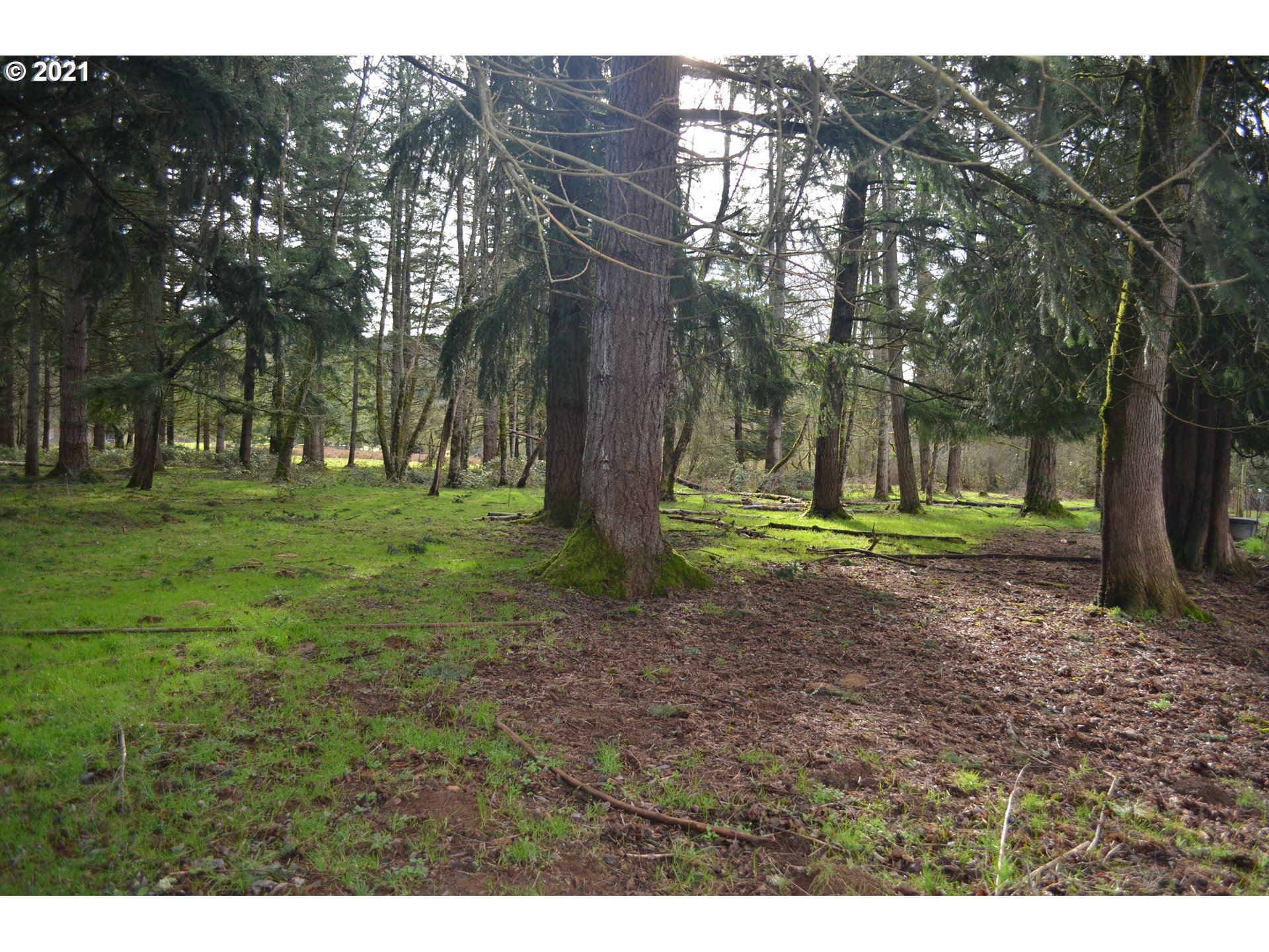 25032 Southeast Sunshine Valley Road Damascus, OR 97089 - Photo 12 of 26 Gallery Image 12