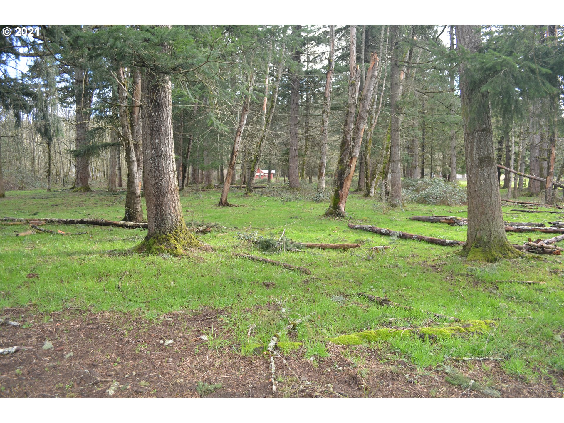 25032 Southeast Sunshine Valley Road Damascus, OR 97089 - Photo 13 of 26 Gallery Image 13