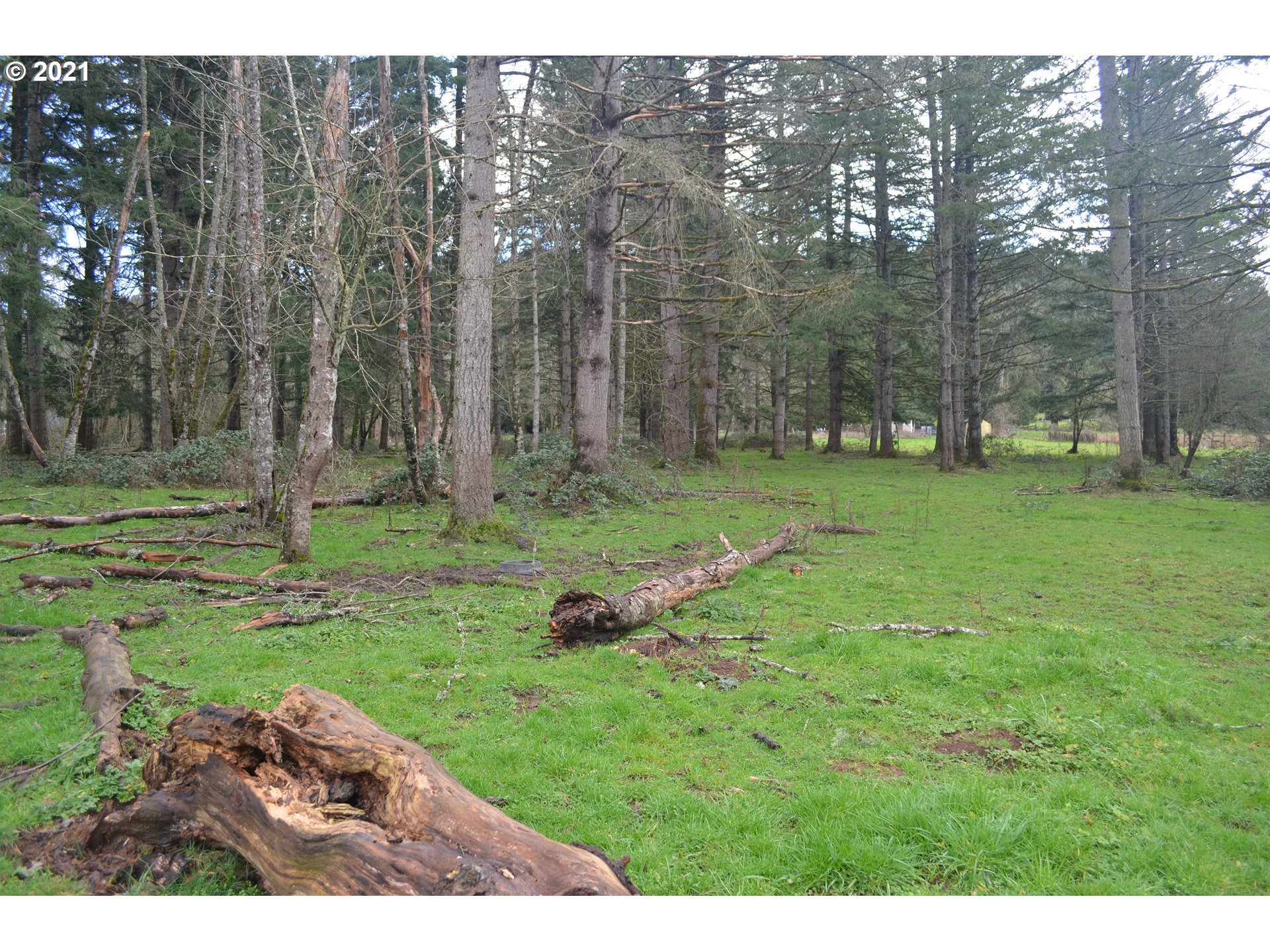 25032 Southeast Sunshine Valley Road Damascus, OR 97089 - Photo 14 of 26 Gallery Image 14