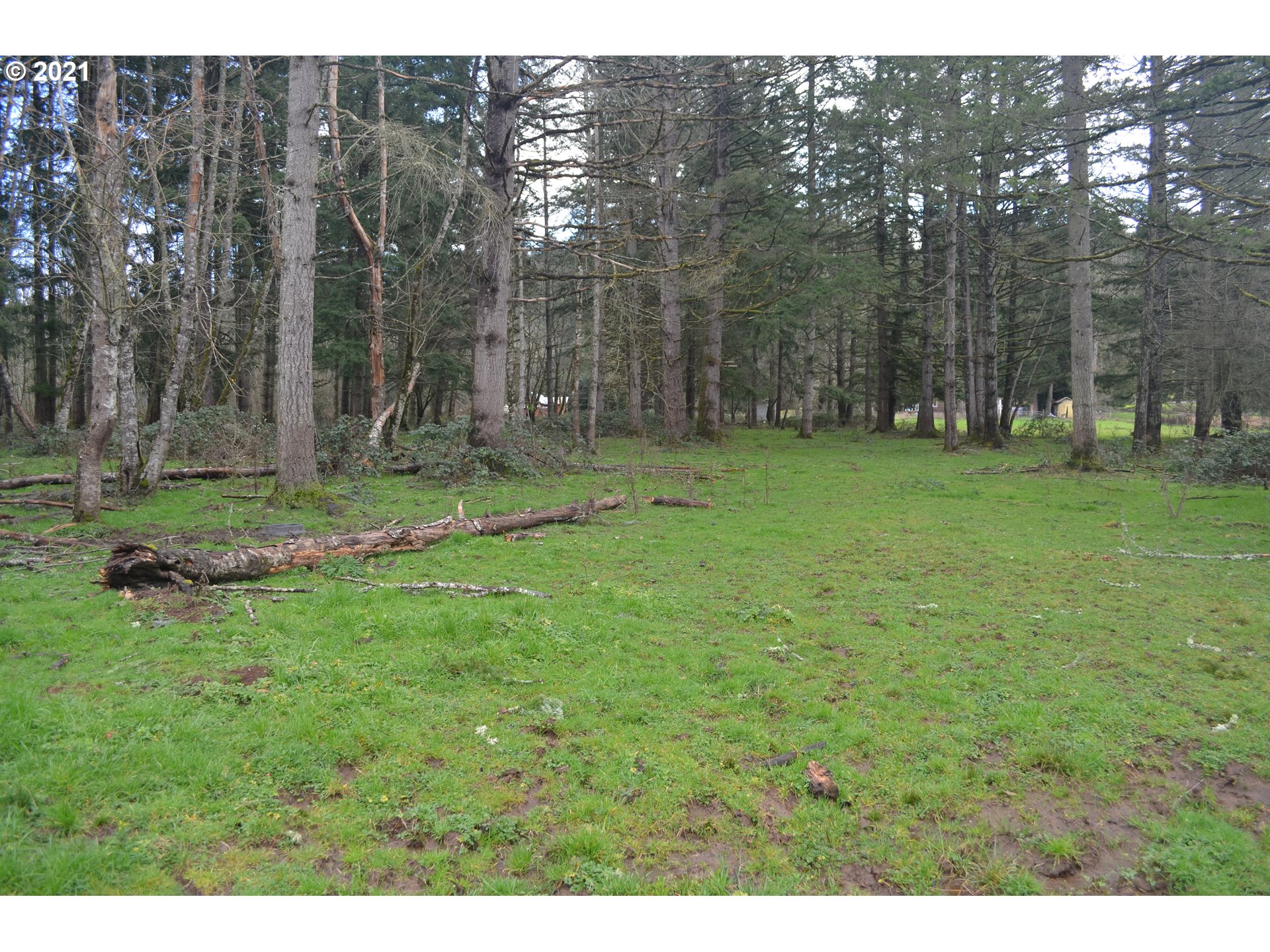 25032 Southeast Sunshine Valley Road Damascus, OR 97089 - Photo 15 of 26 Gallery Image 15