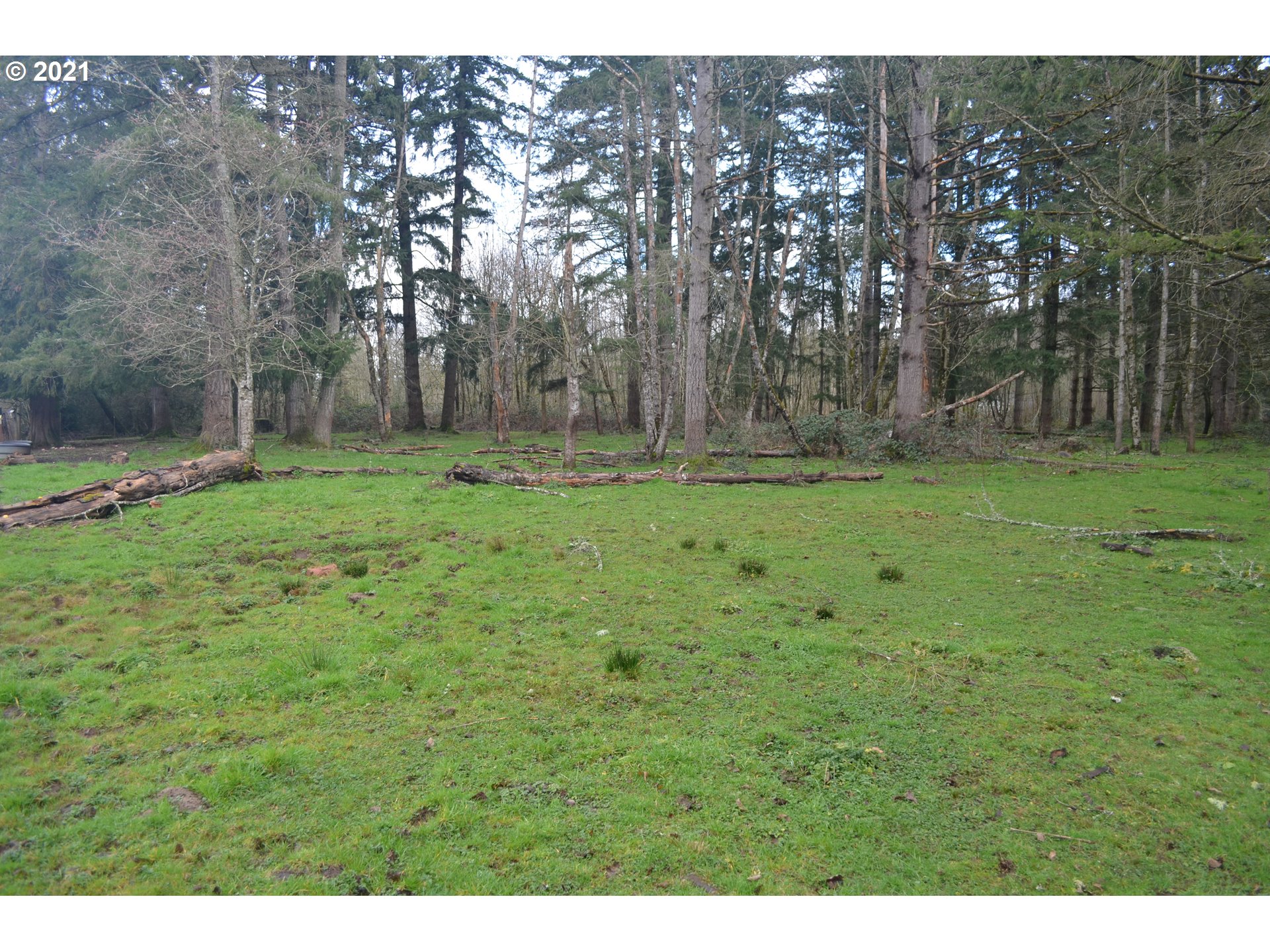 25032 Southeast Sunshine Valley Road Damascus, OR 97089 - Photo 16 of 26 Gallery Image 16
