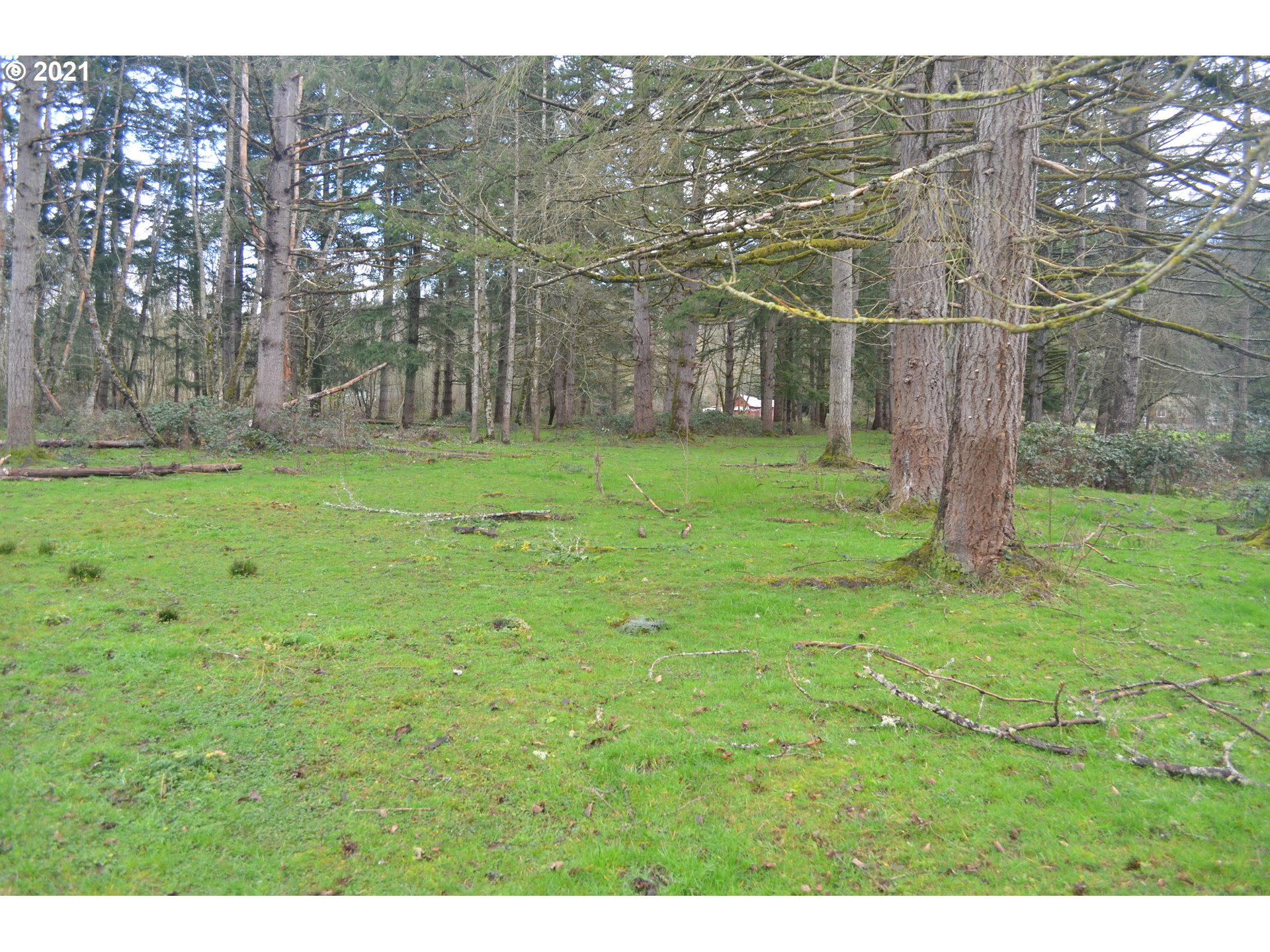25032 Southeast Sunshine Valley Road Damascus, OR 97089 - Photo 17 of 26 Gallery Image 17