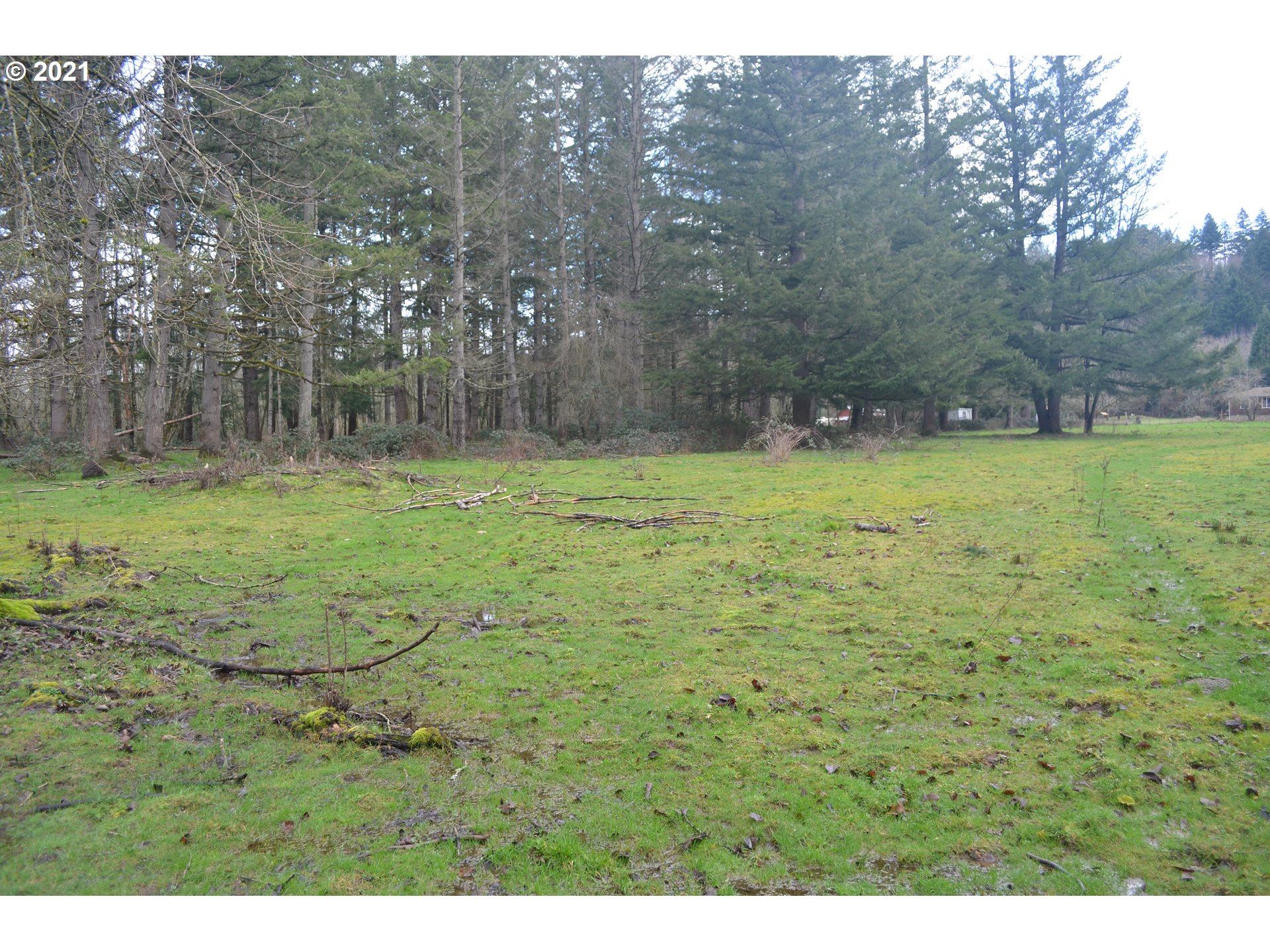 25032 Southeast Sunshine Valley Road Damascus, OR 97089 - Photo 19 of 26 Gallery Image 19