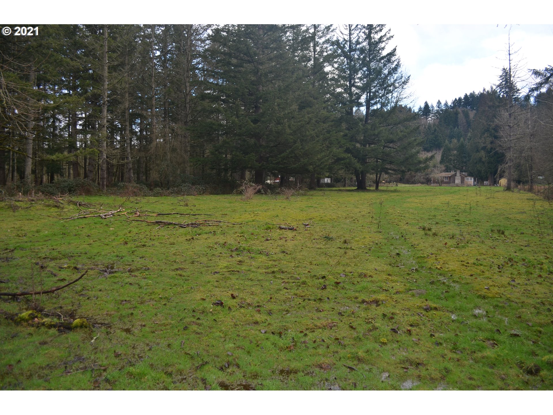 25032 Southeast Sunshine Valley Road Damascus, OR 97089 - Photo 20 of 26 Gallery Image 20