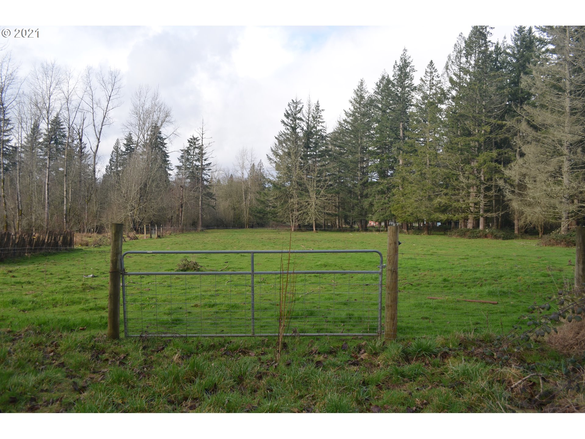 25032 Southeast Sunshine Valley Road Damascus, OR 97089 - Photo 3 of 26 Gallery Image 3