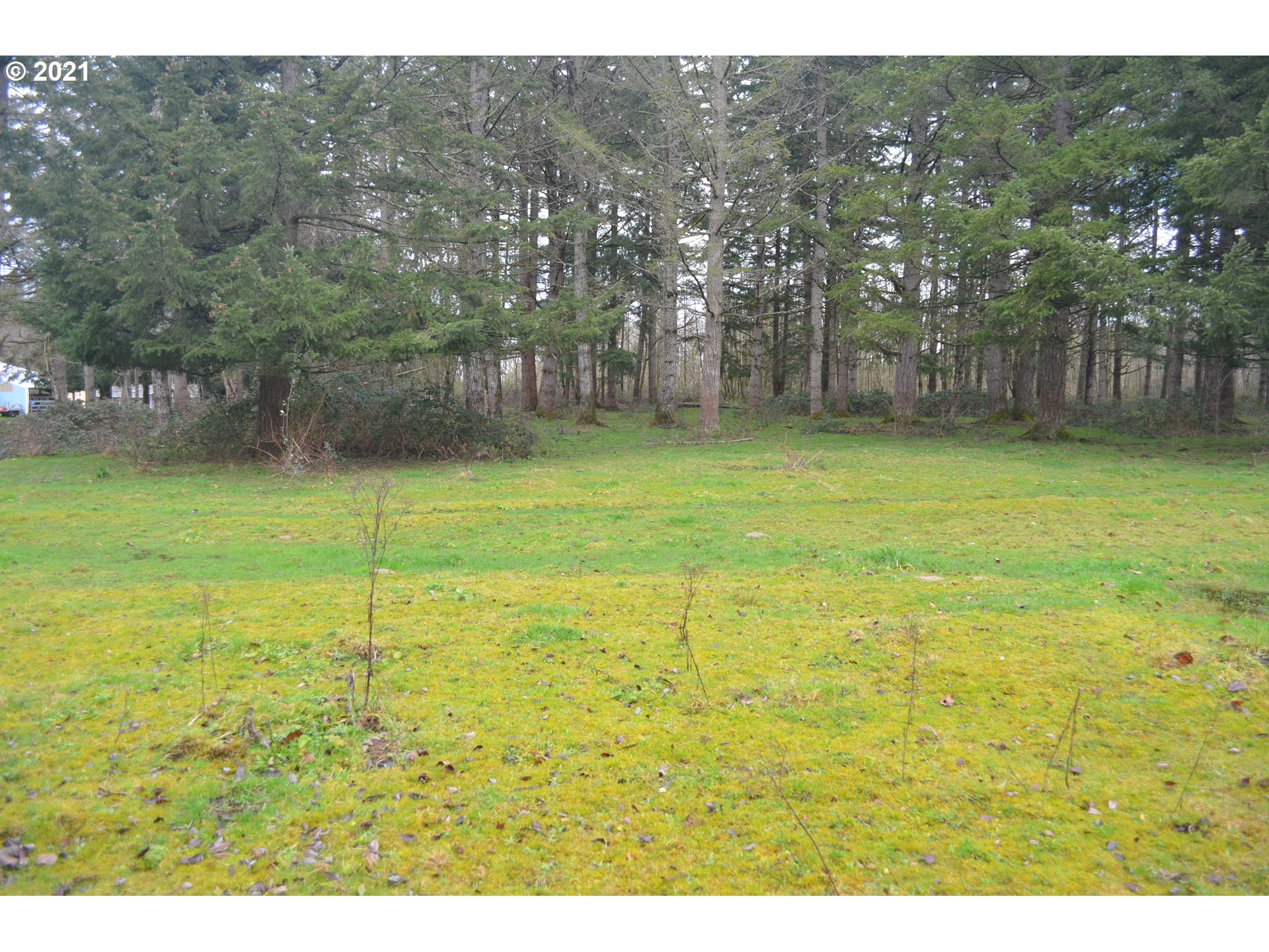 25032 Southeast Sunshine Valley Road Damascus, OR 97089 - Photo 21 of 26 Gallery Image 21