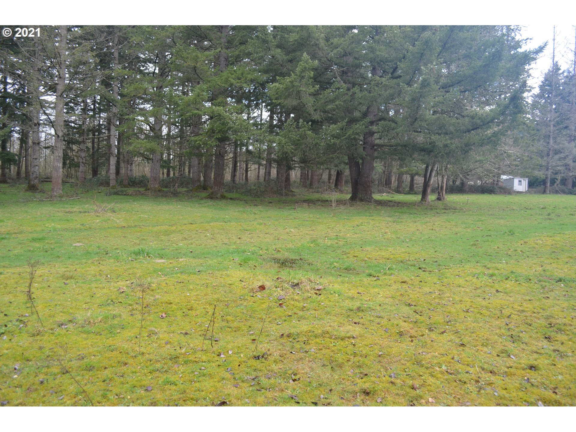 25032 Southeast Sunshine Valley Road Damascus, OR 97089 - Photo 22 of 26 Gallery Image 22