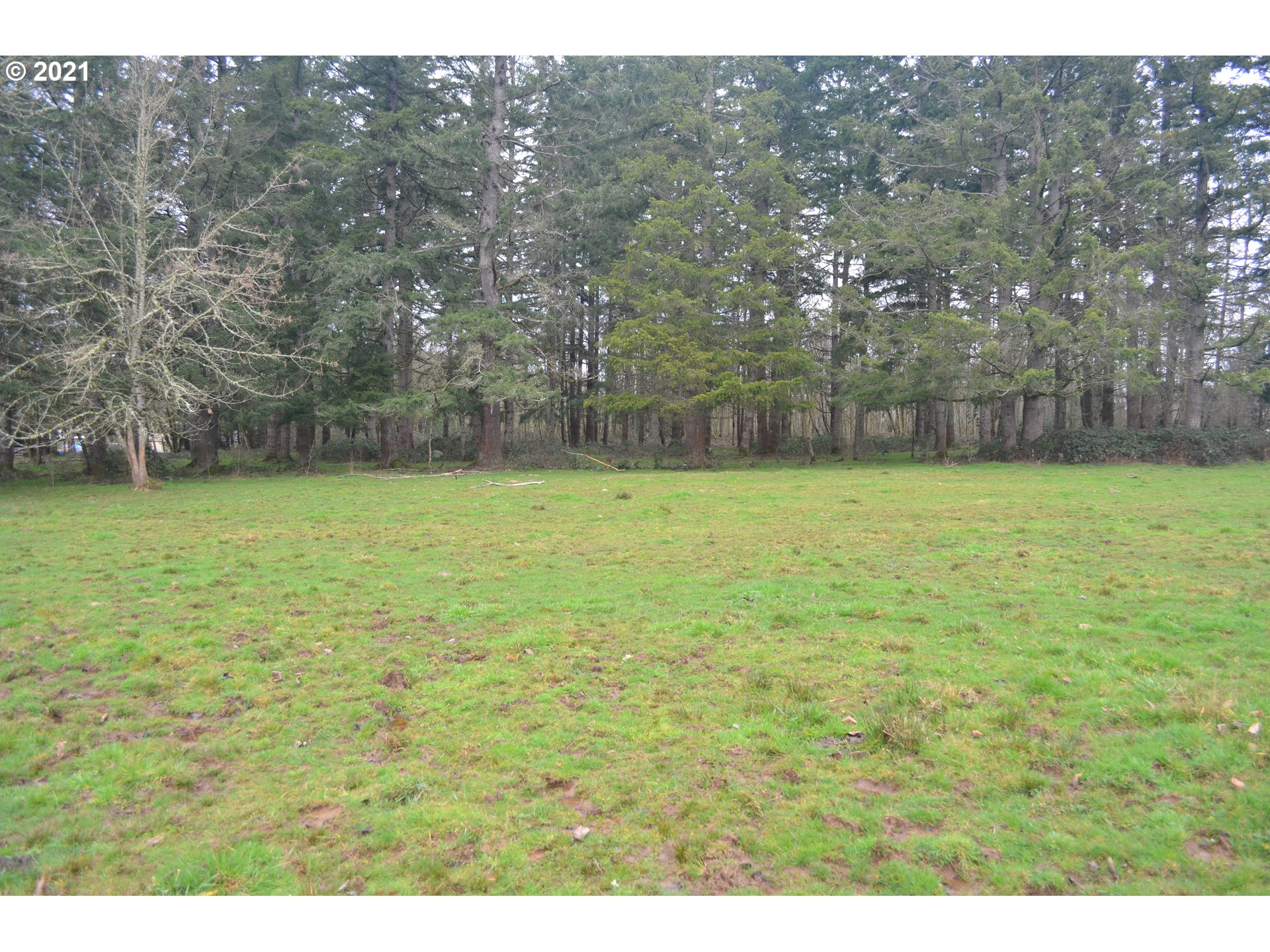25032 Southeast Sunshine Valley Road Damascus, OR 97089 - Photo 23 of 26 Gallery Image 23