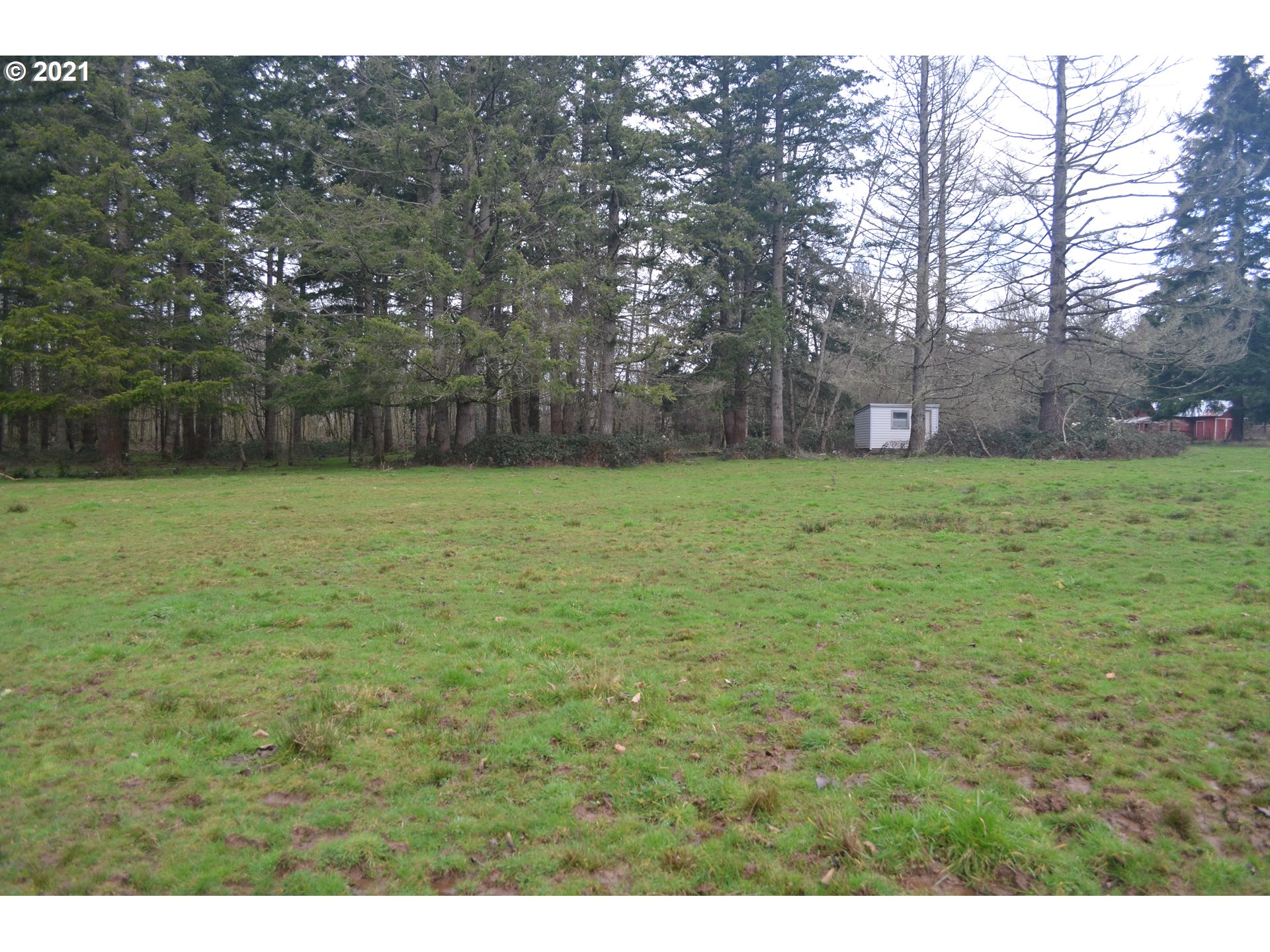 25032 Southeast Sunshine Valley Road Damascus, OR 97089 - Photo 24 of 26 Gallery Image 24