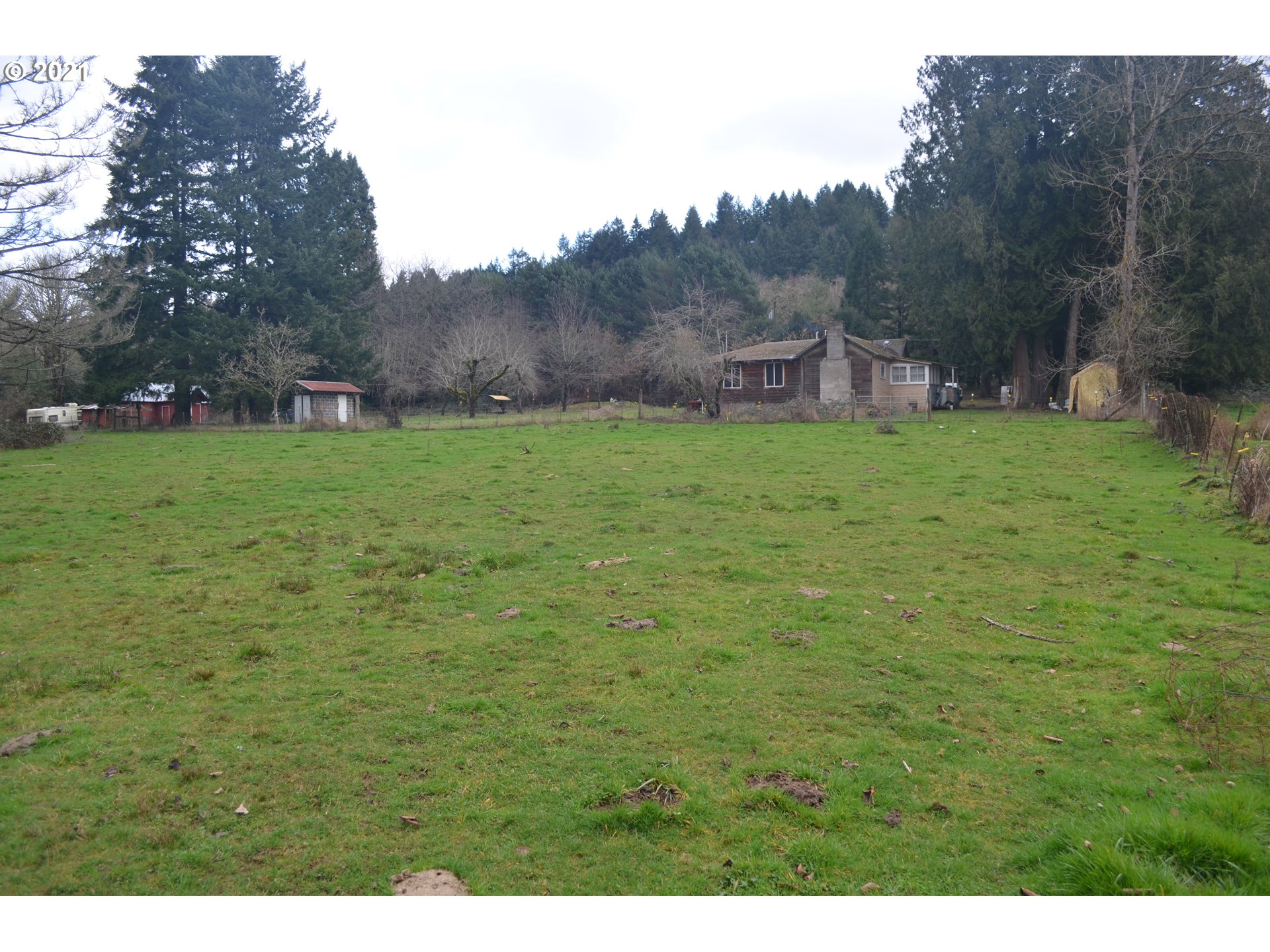 25032 Southeast Sunshine Valley Road Damascus, OR 97089 - Photo 25 of 26 Gallery Image 25