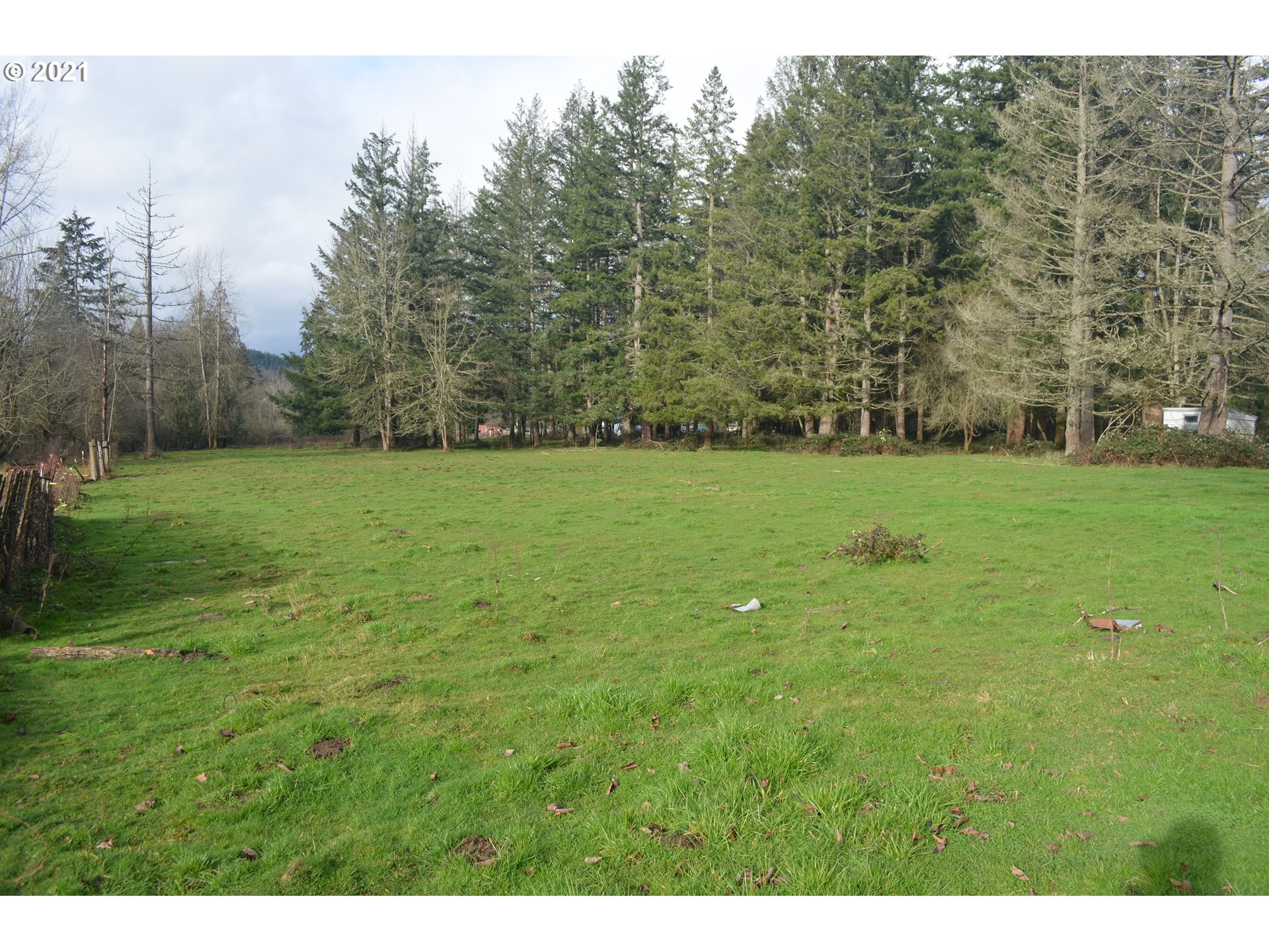 25032 Southeast Sunshine Valley Road Damascus, OR 97089 - Photo 4 of 26 Gallery Image 4