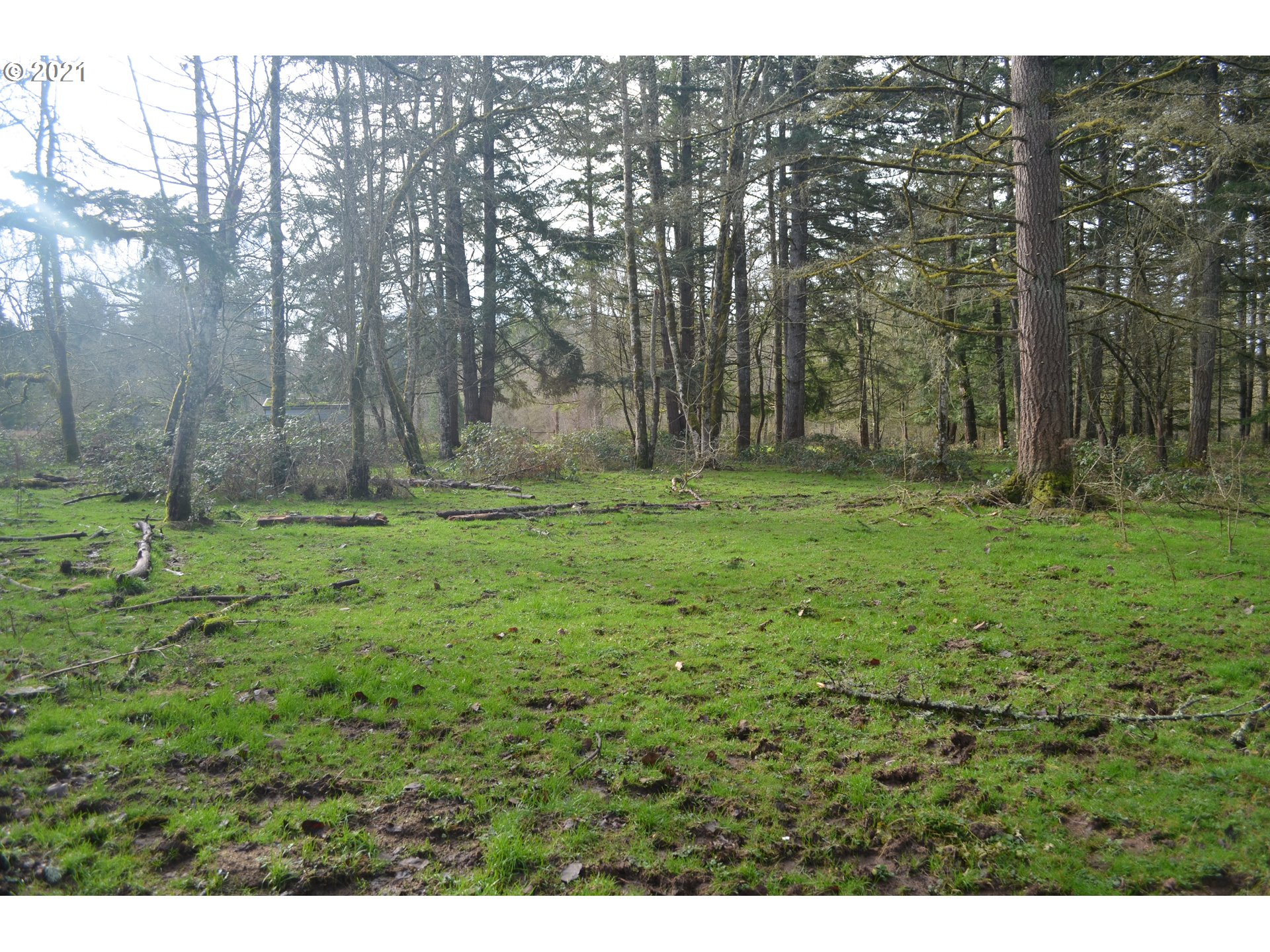 25032 Southeast Sunshine Valley Road Damascus, OR 97089 - Photo 7 of 26 Gallery Image 7