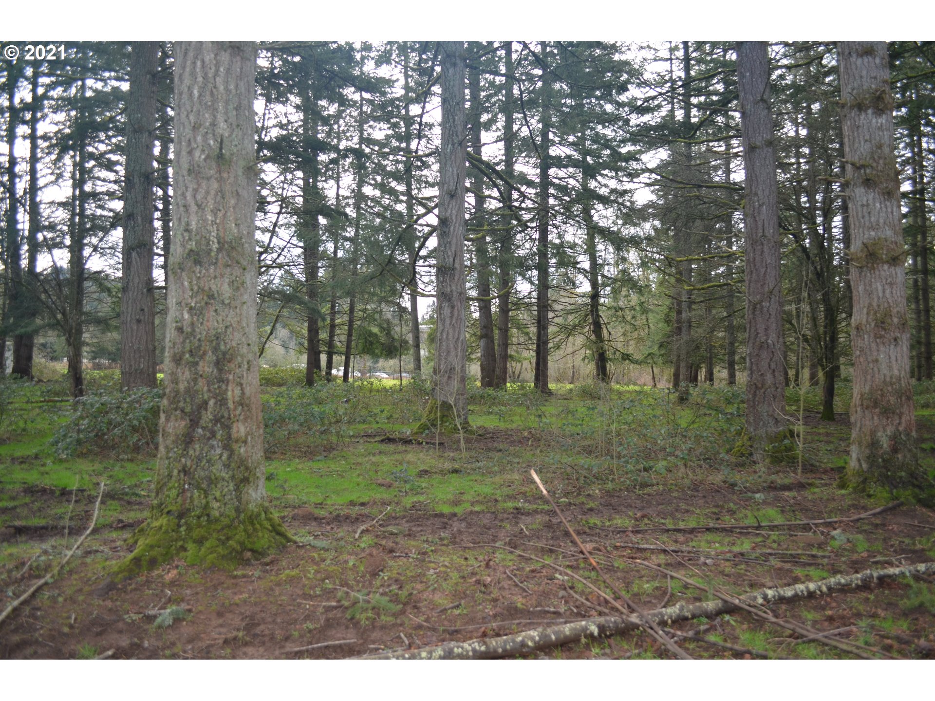 25032 Southeast Sunshine Valley Road Damascus, OR 97089 - Photo 9 of 26 Gallery Image 9