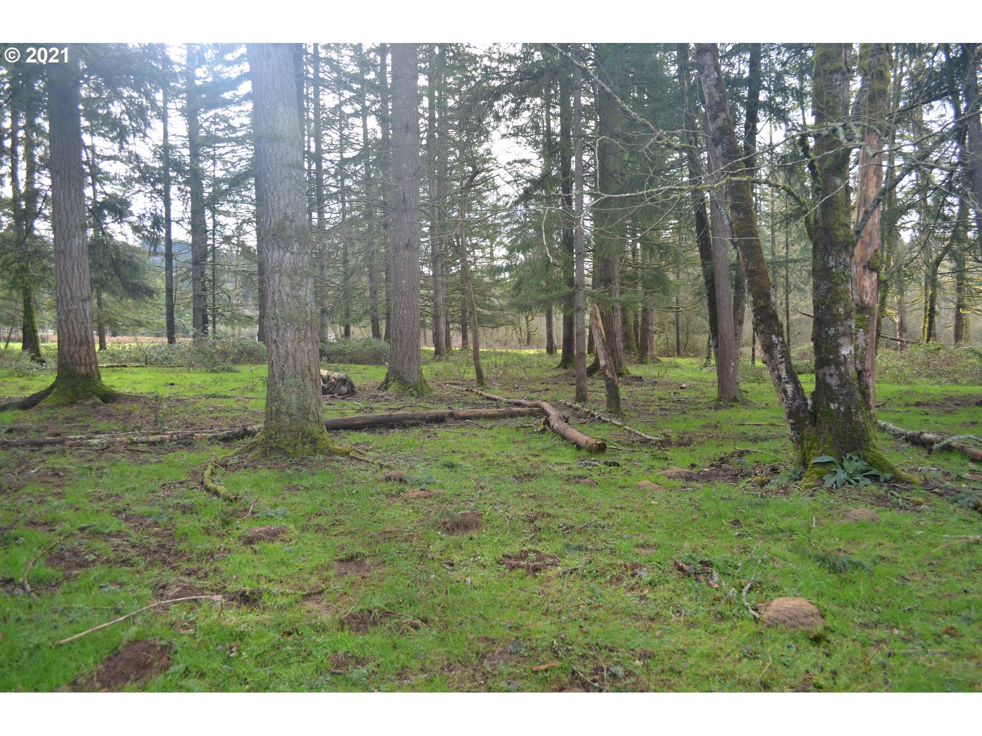 25032 Southeast Sunshine Valley Road Damascus, OR 97089 - Photo 10 of 26 Gallery Image 10