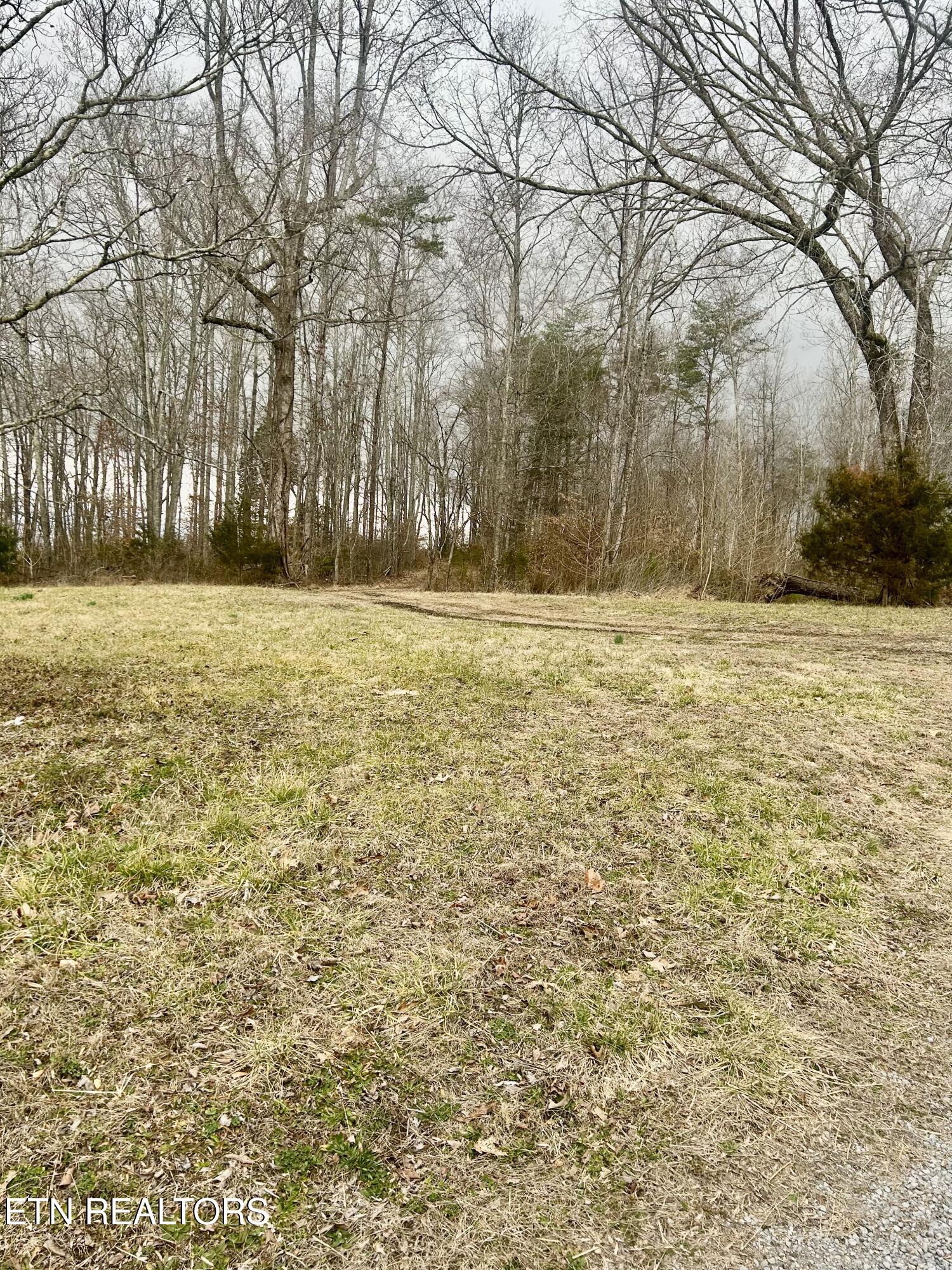 River Road Jacksboro, TN 37757 - Photo 11 of 34 river rd pic 7