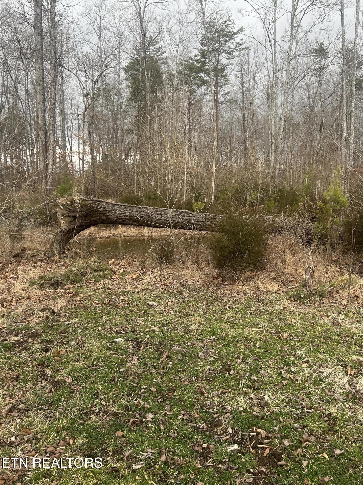 River Road Jacksboro, TN 37757 - Photo 12 of 34 River Rd Pic 9