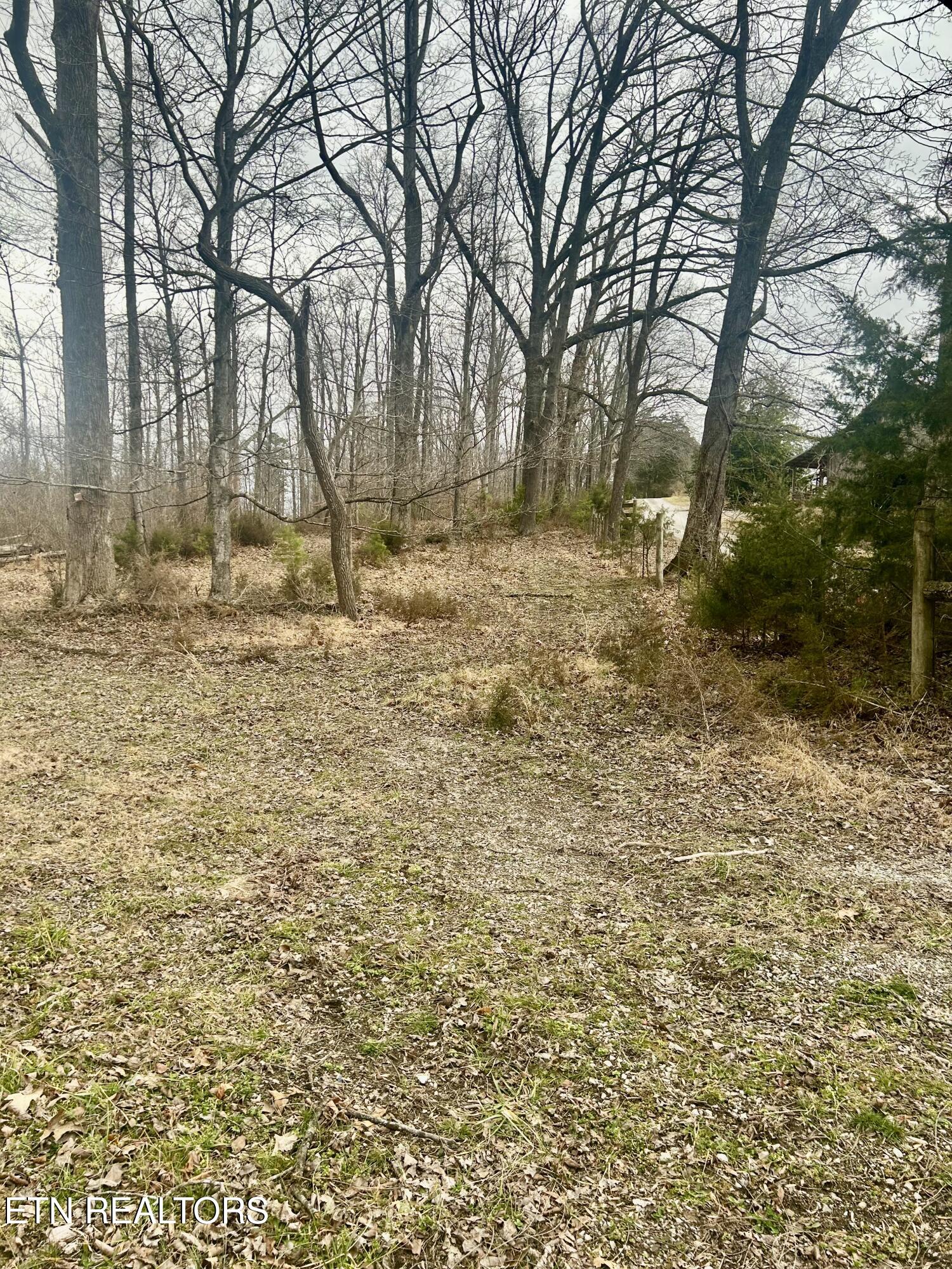 River Road Jacksboro, TN 37757 - Photo 13 of 34 river rd pic 10