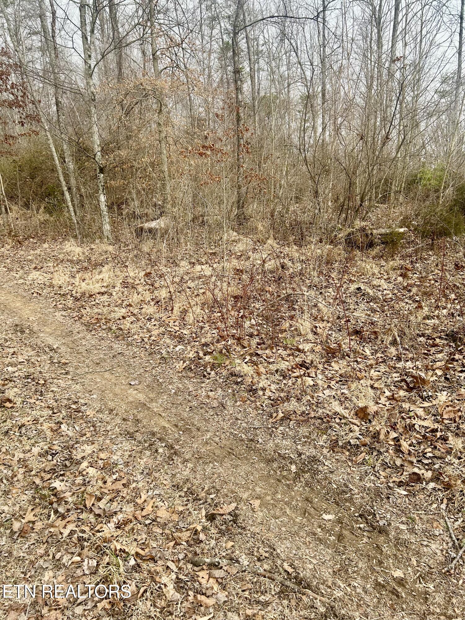 River Road Jacksboro, TN 37757 - Photo 14 of 34 river rd pic 11