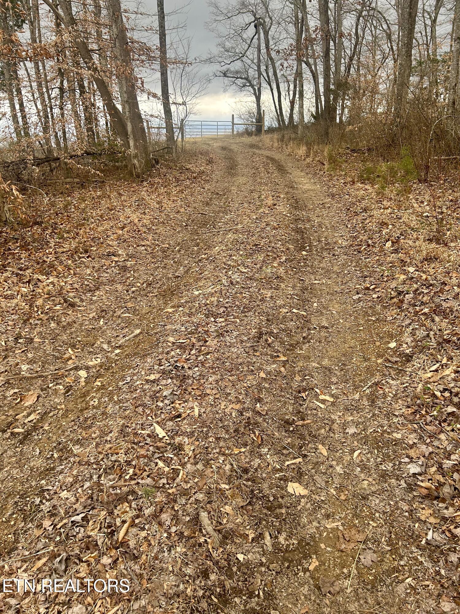 River Road Jacksboro, TN 37757 - Photo 15 of 34 River Rd pic 13