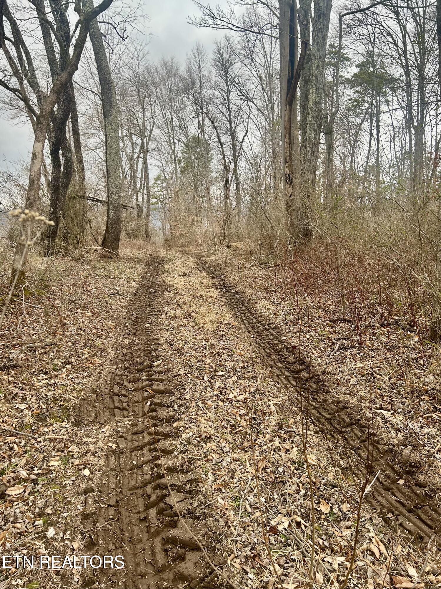 River Road Jacksboro, TN 37757 - Photo 16 of 34 River Rd pic 15