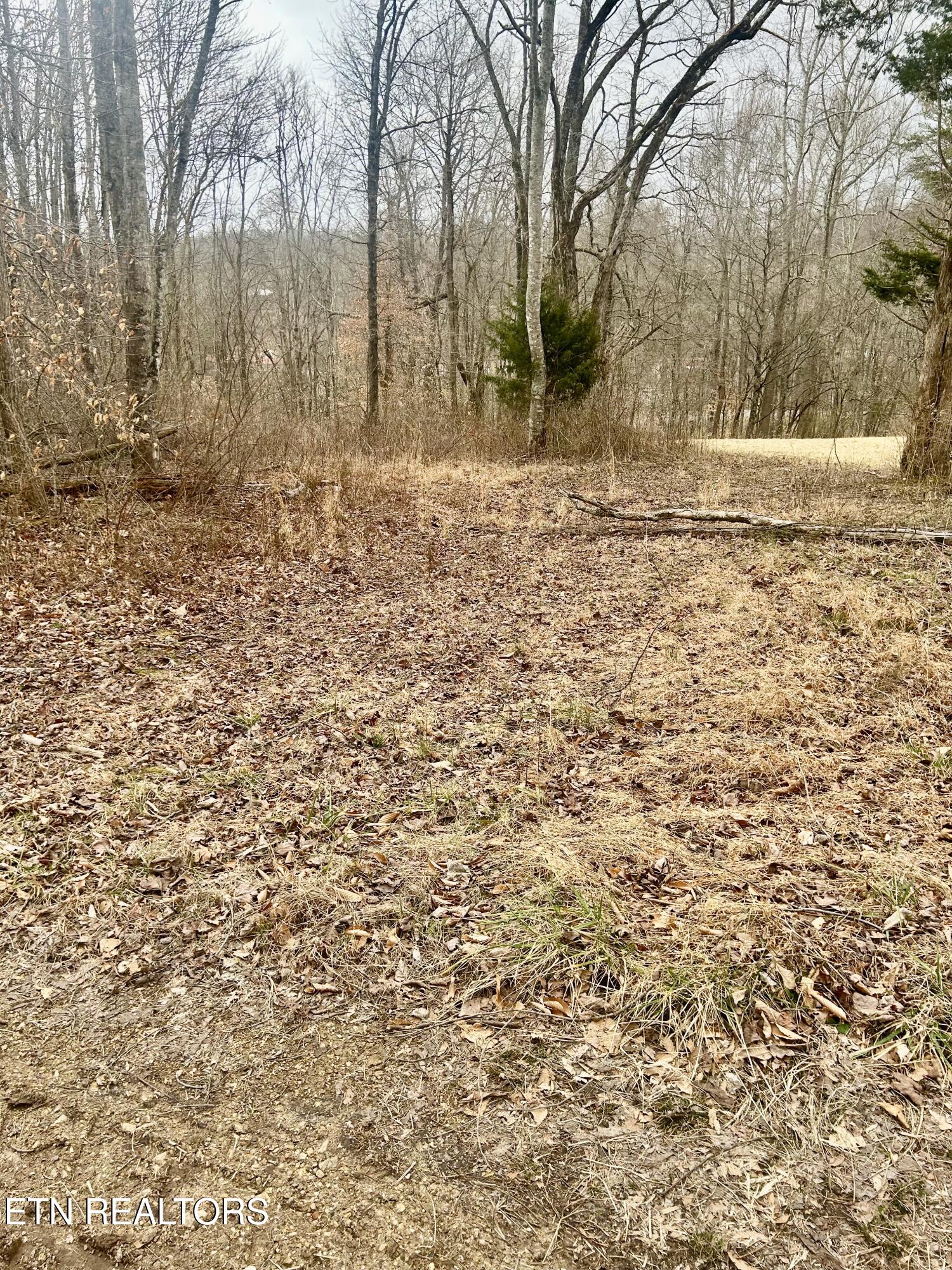 River Road Jacksboro, TN 37757 - Photo 17 of 34 River Rd Pic 16