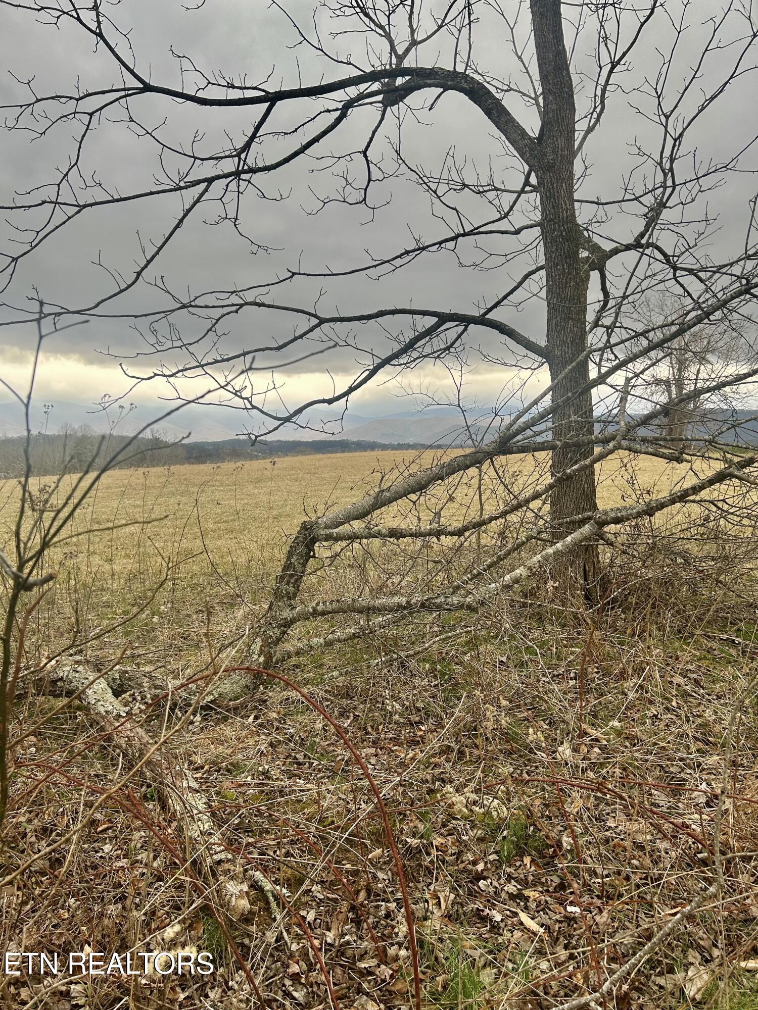 River Road Jacksboro, TN 37757 - Photo 18 of 34 River Rd Pic 17