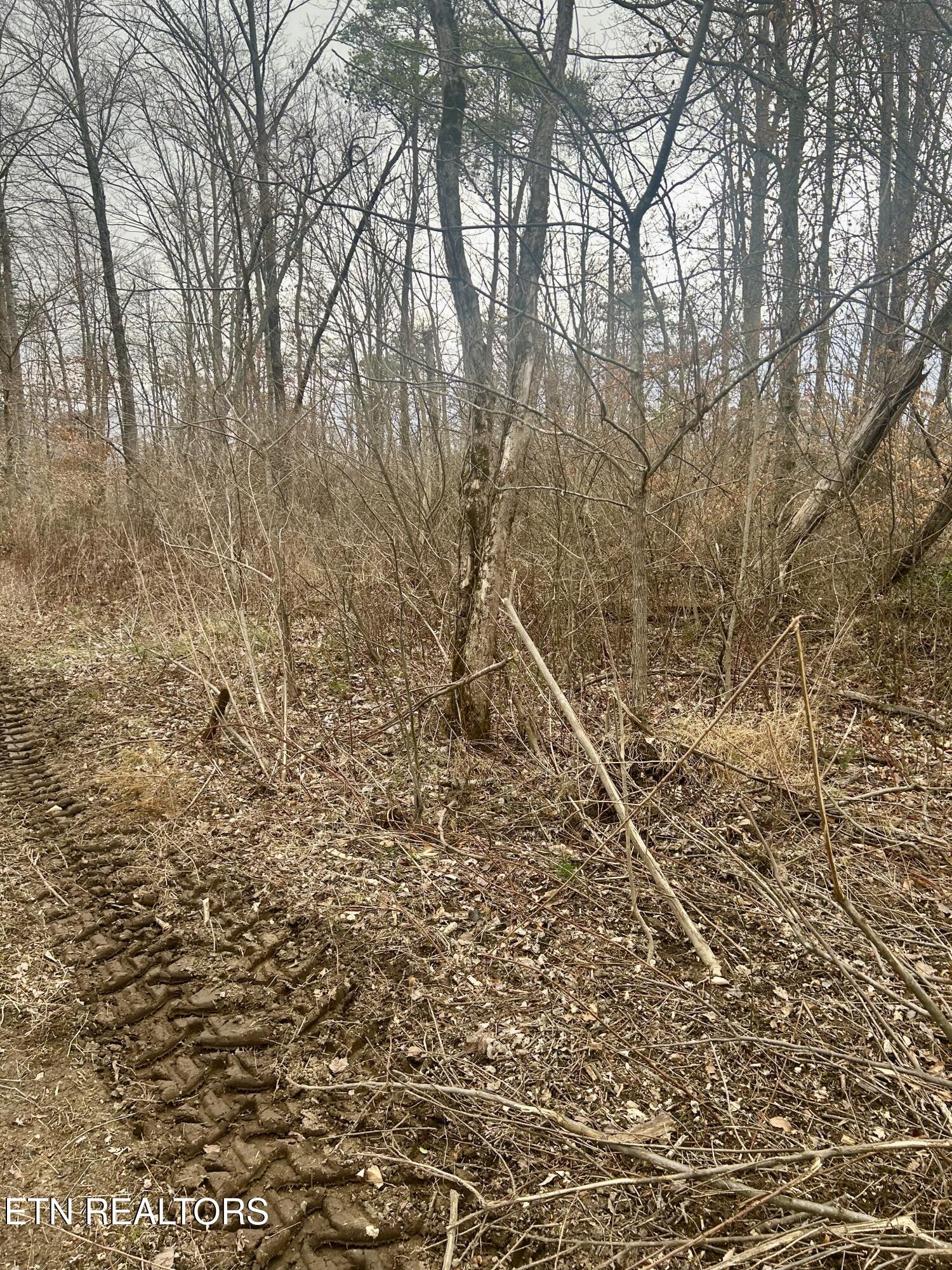 River Road Jacksboro, TN 37757 - Photo 19 of 34 River Rd Pic 18