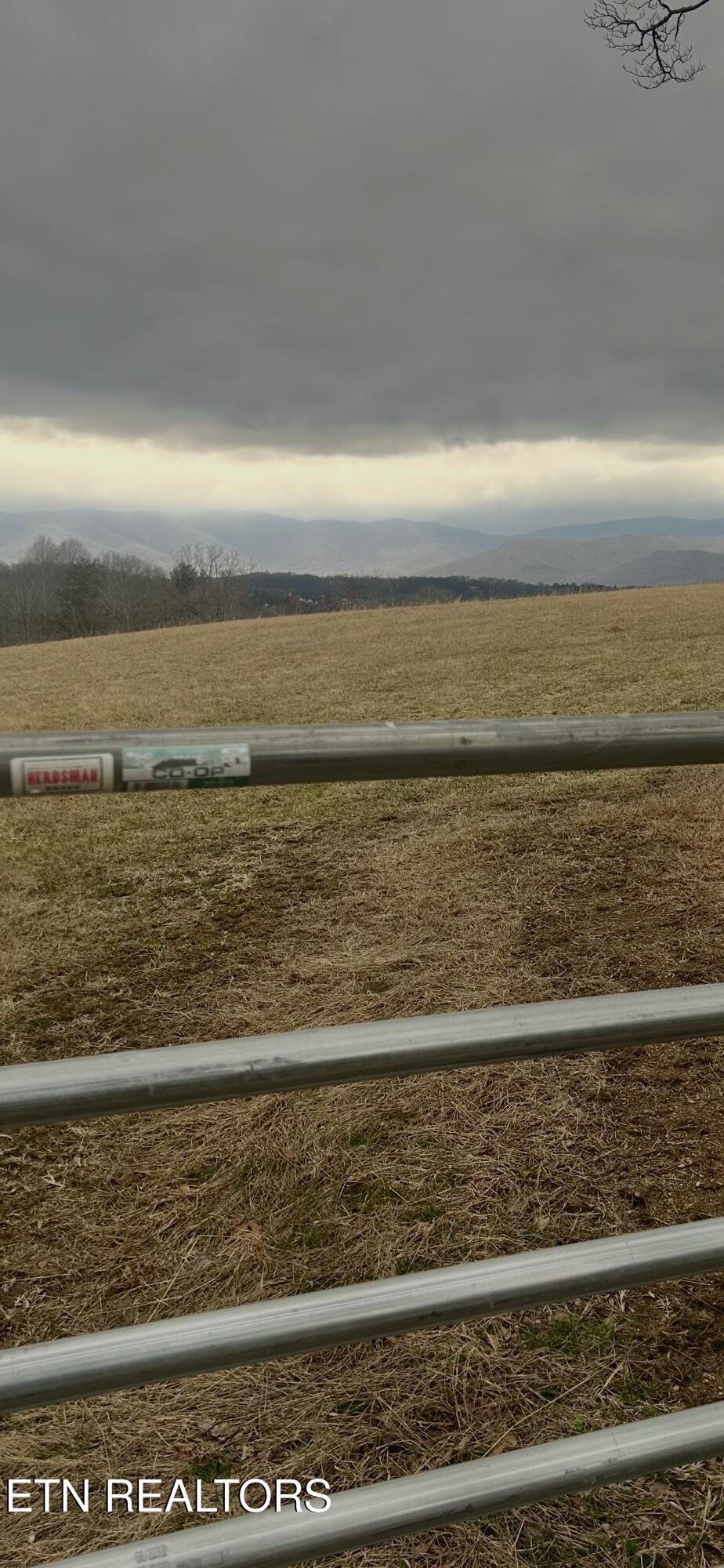 River Road Jacksboro, TN 37757 - Photo 21 of 34 river rd pic 37